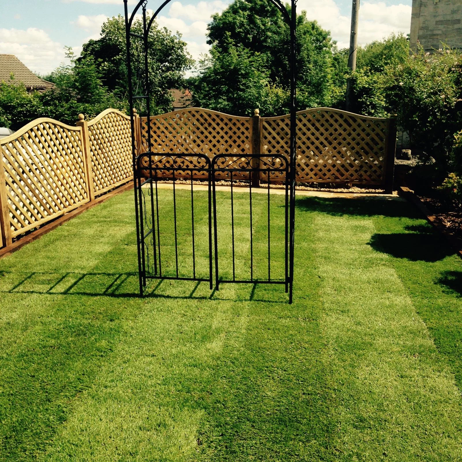 Love Your Lawn This Winter