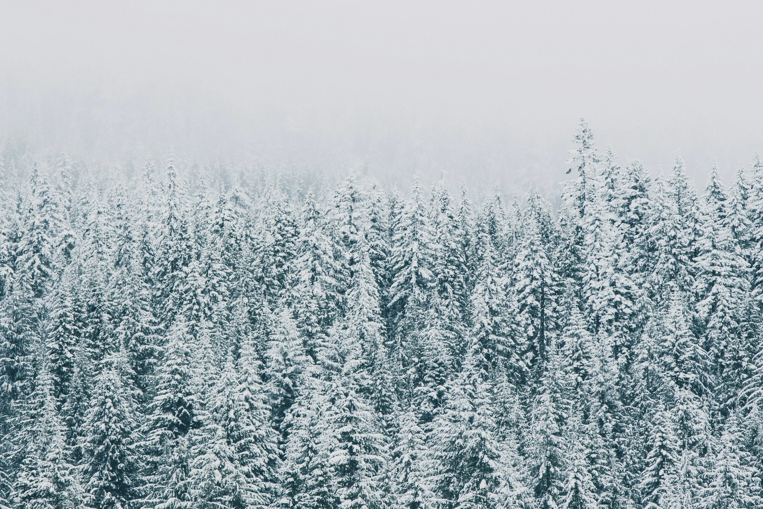 Job Opportunity: Kiosk Attendant