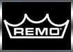 e_remo.jpg