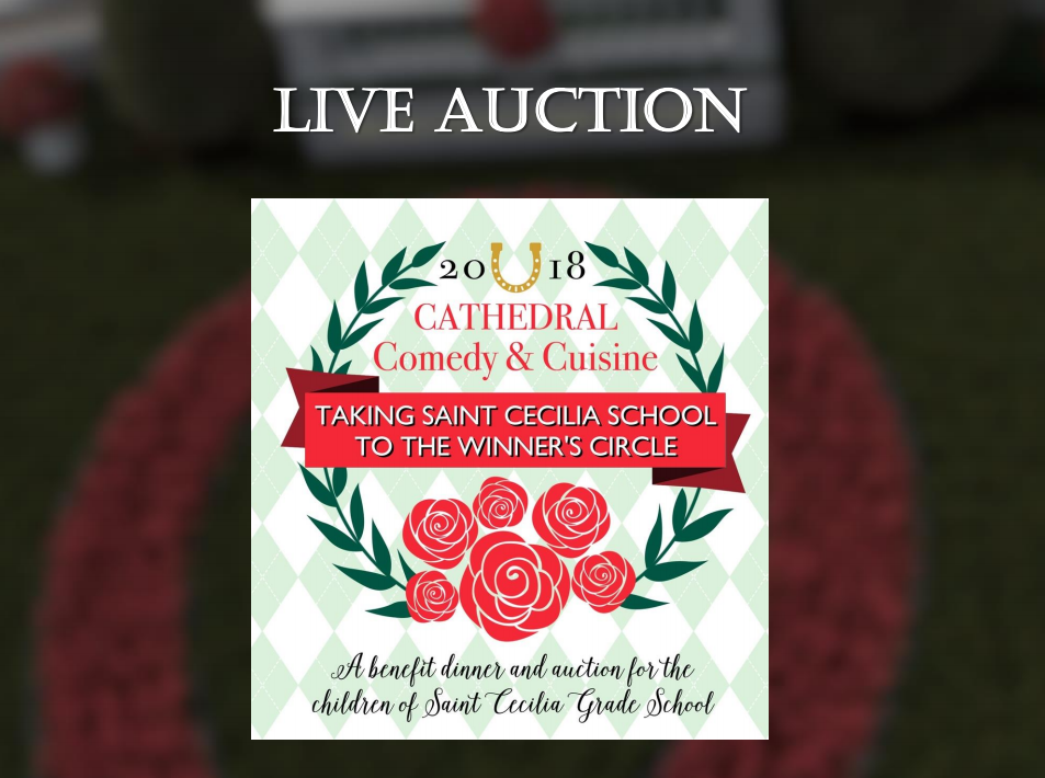 View the Fantastic Live Auction Items!