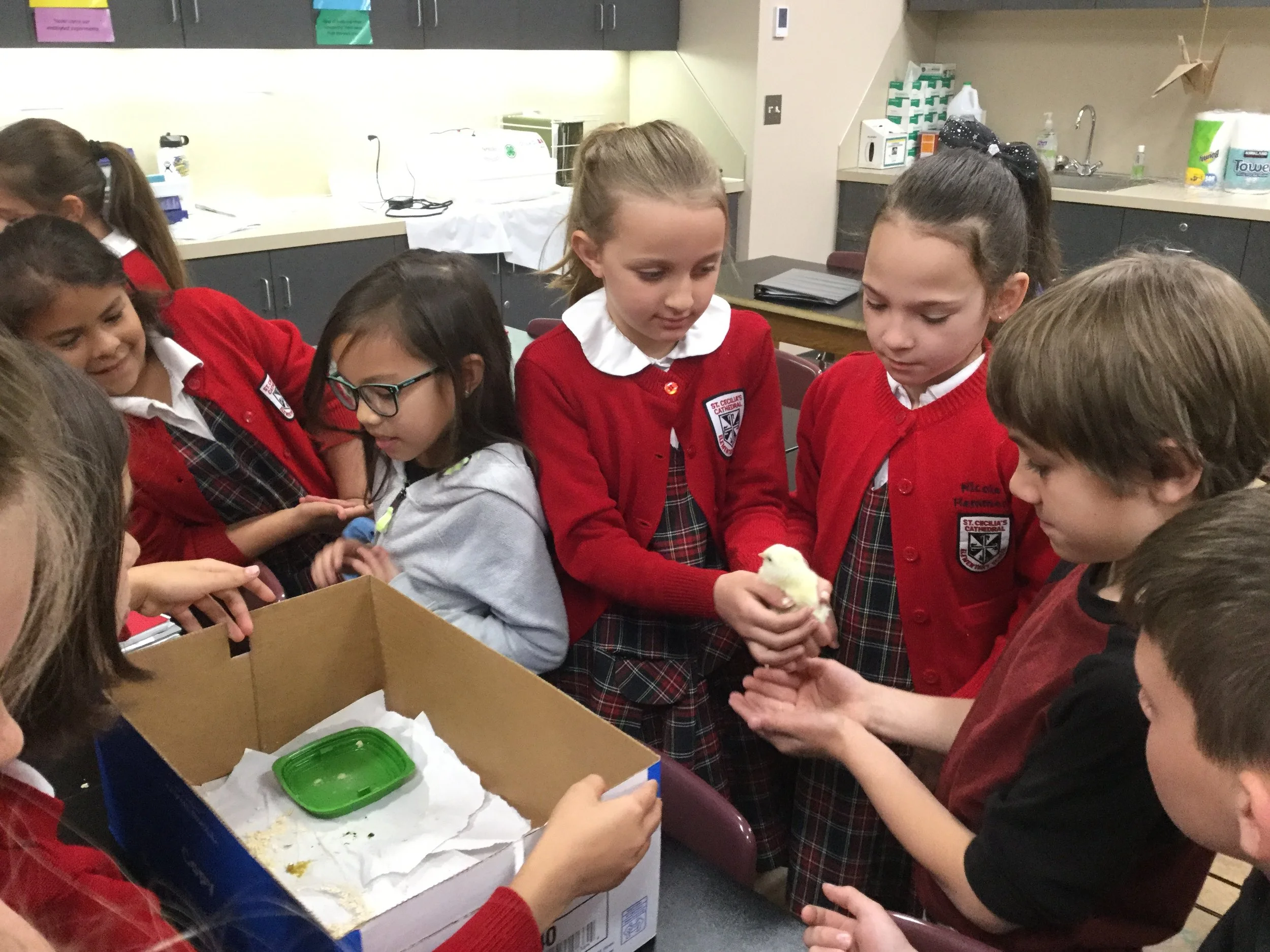 April 24 Principal Newsletter