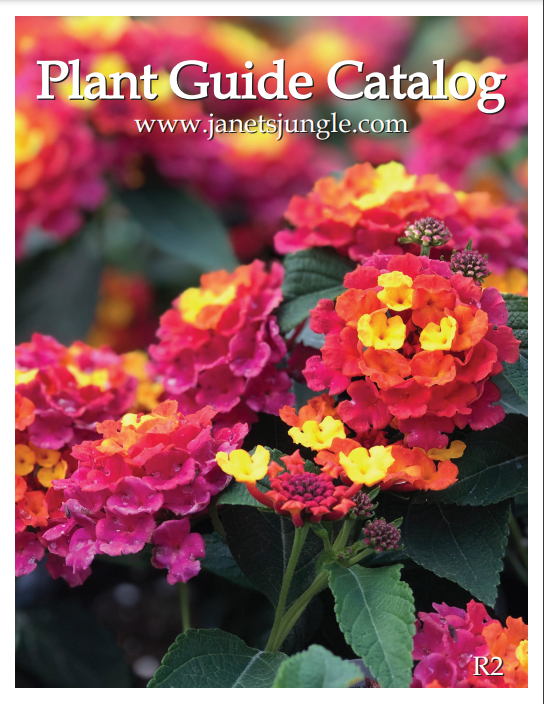 ABC Club Plant Sale!