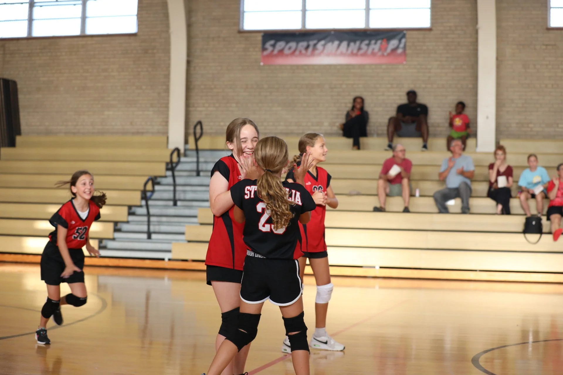 Volunteer at the Birdfeeder!