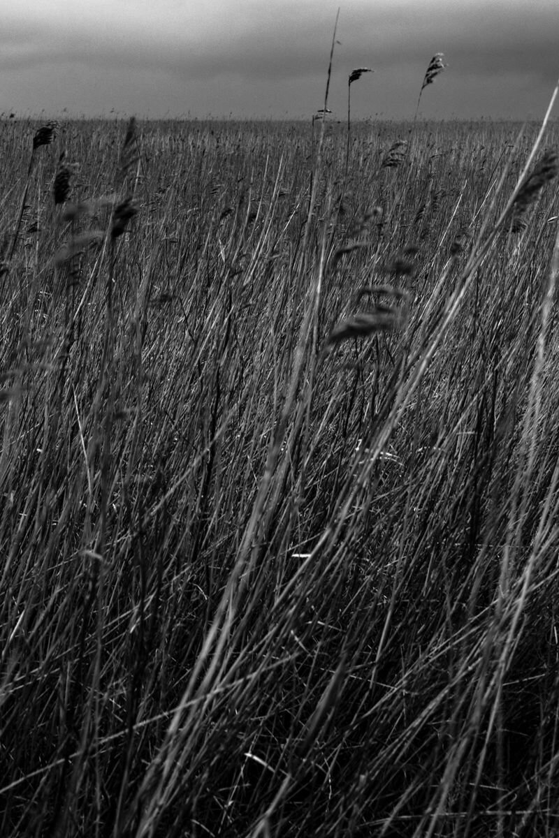 Marco+van+Rijt+for++Numero+Netherlands+'Storm+Ciara+(11).jpg
