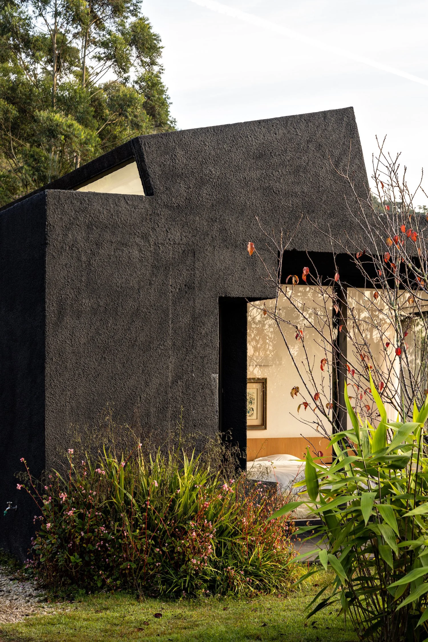 Casa Preta | Felipe Hess 
