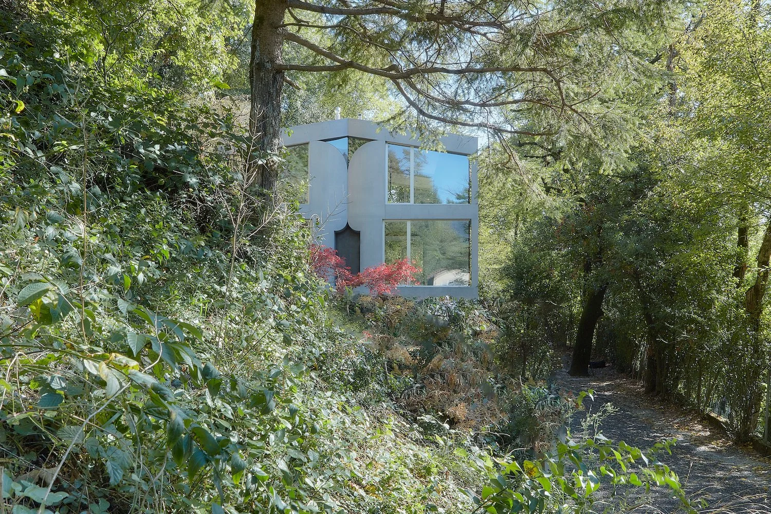 House C | celoria Architects 