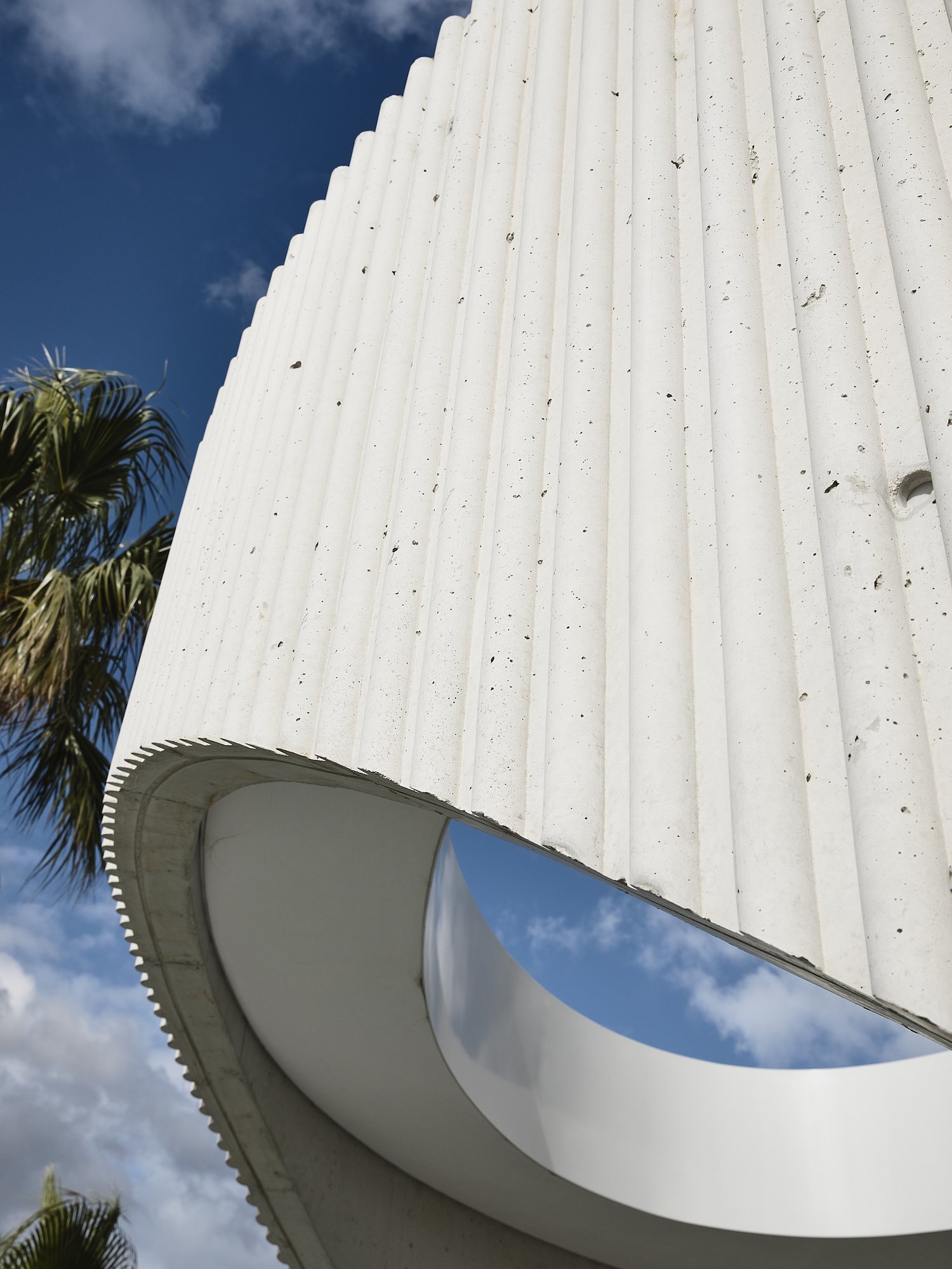 Palm House | Bayley Ward 