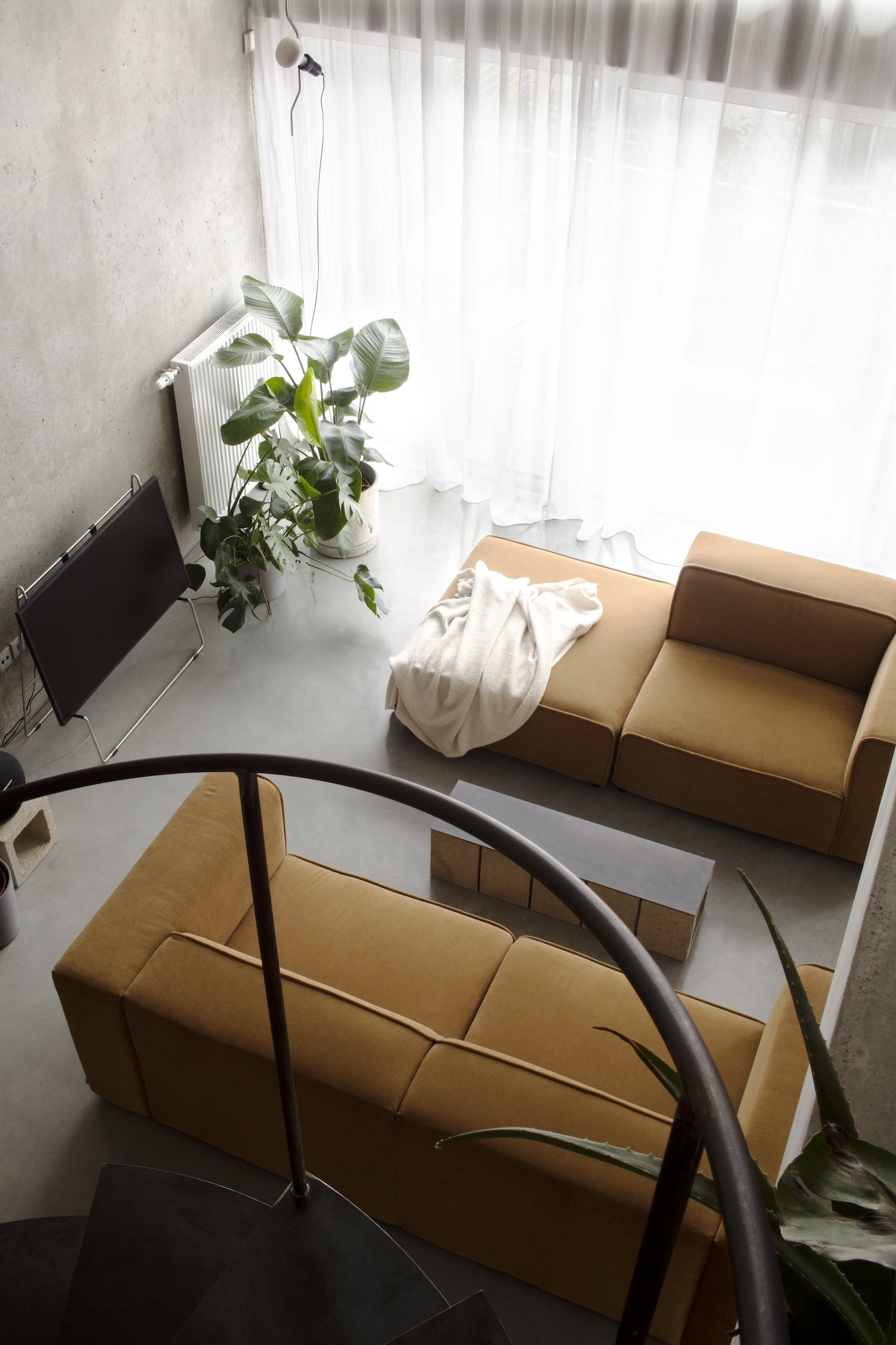 Capable One | A6A &amp; ARAIA STUDIO