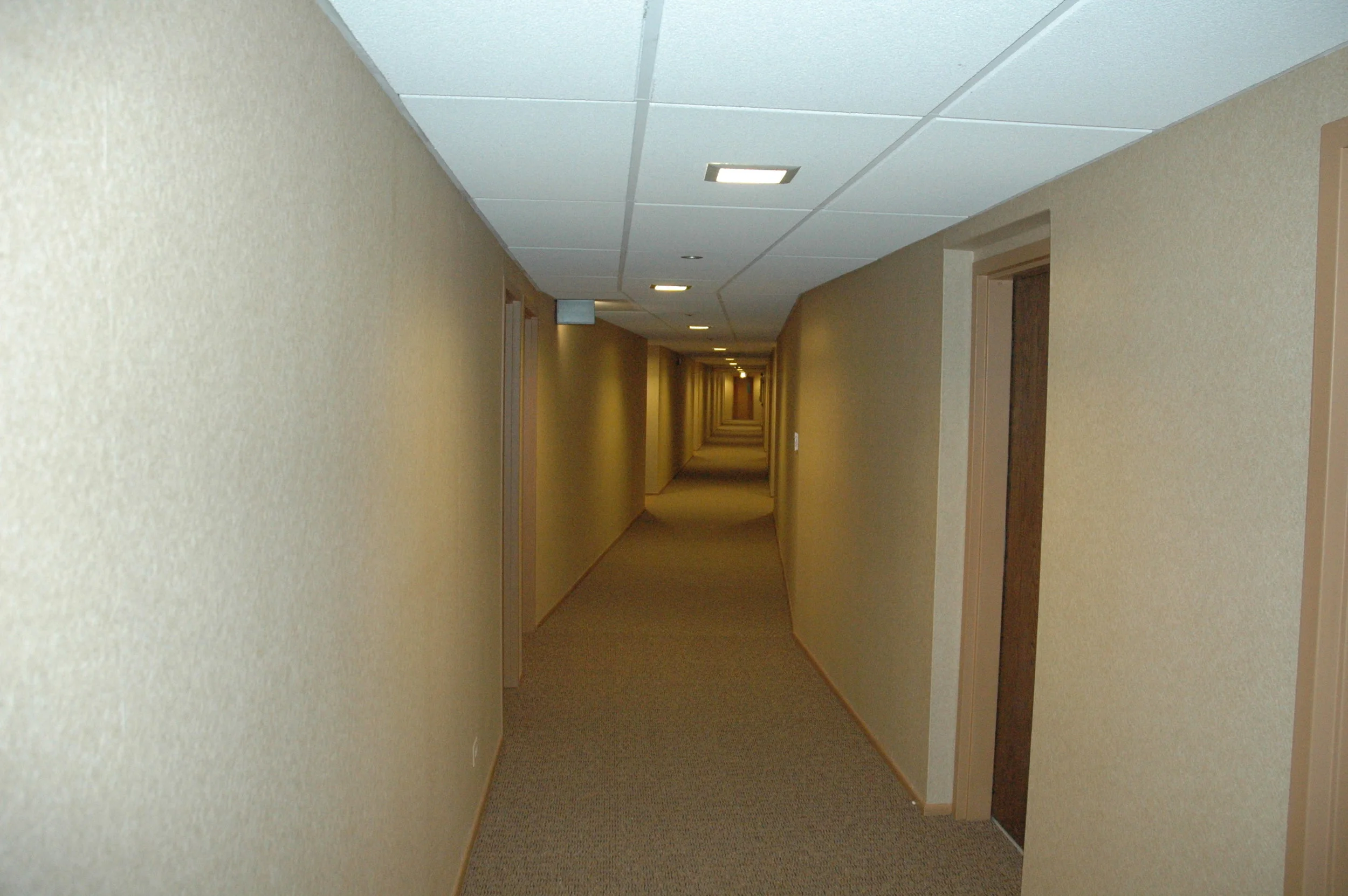 Bobs File 456 copy.jpg