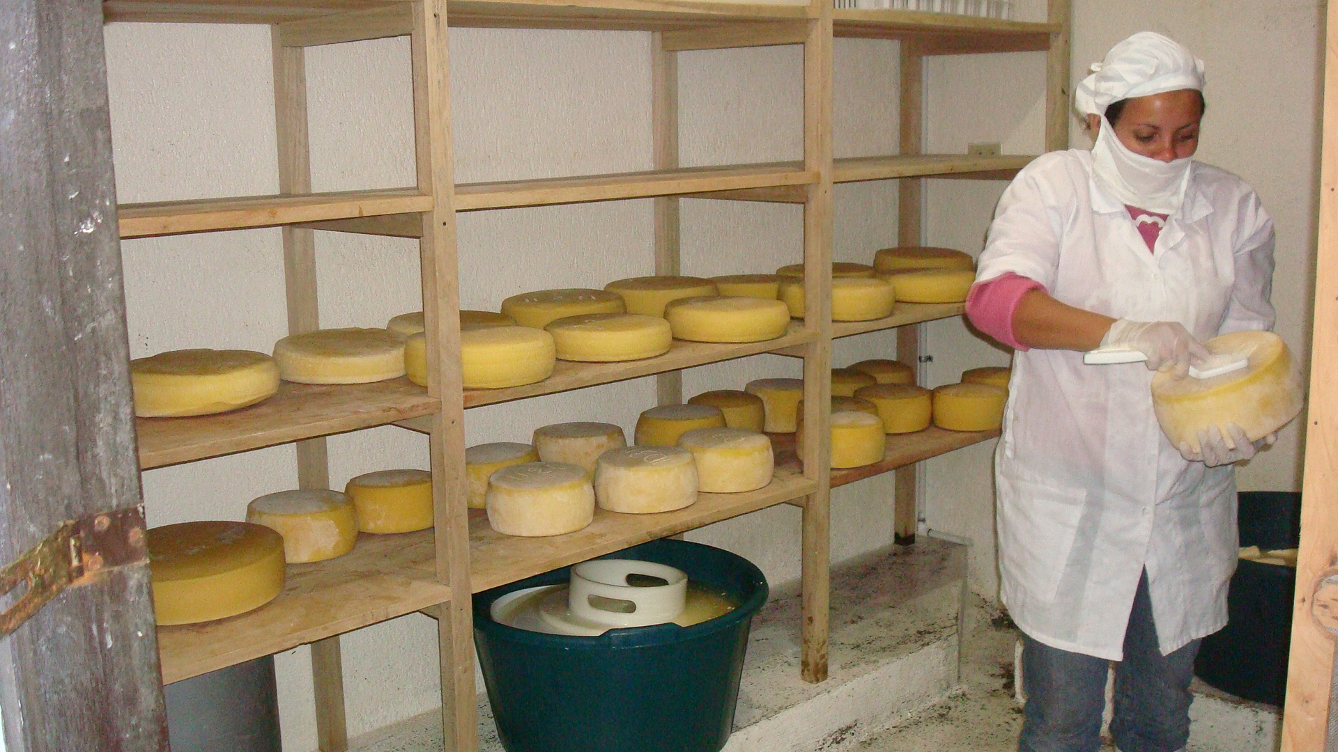 cheese-production.JPG