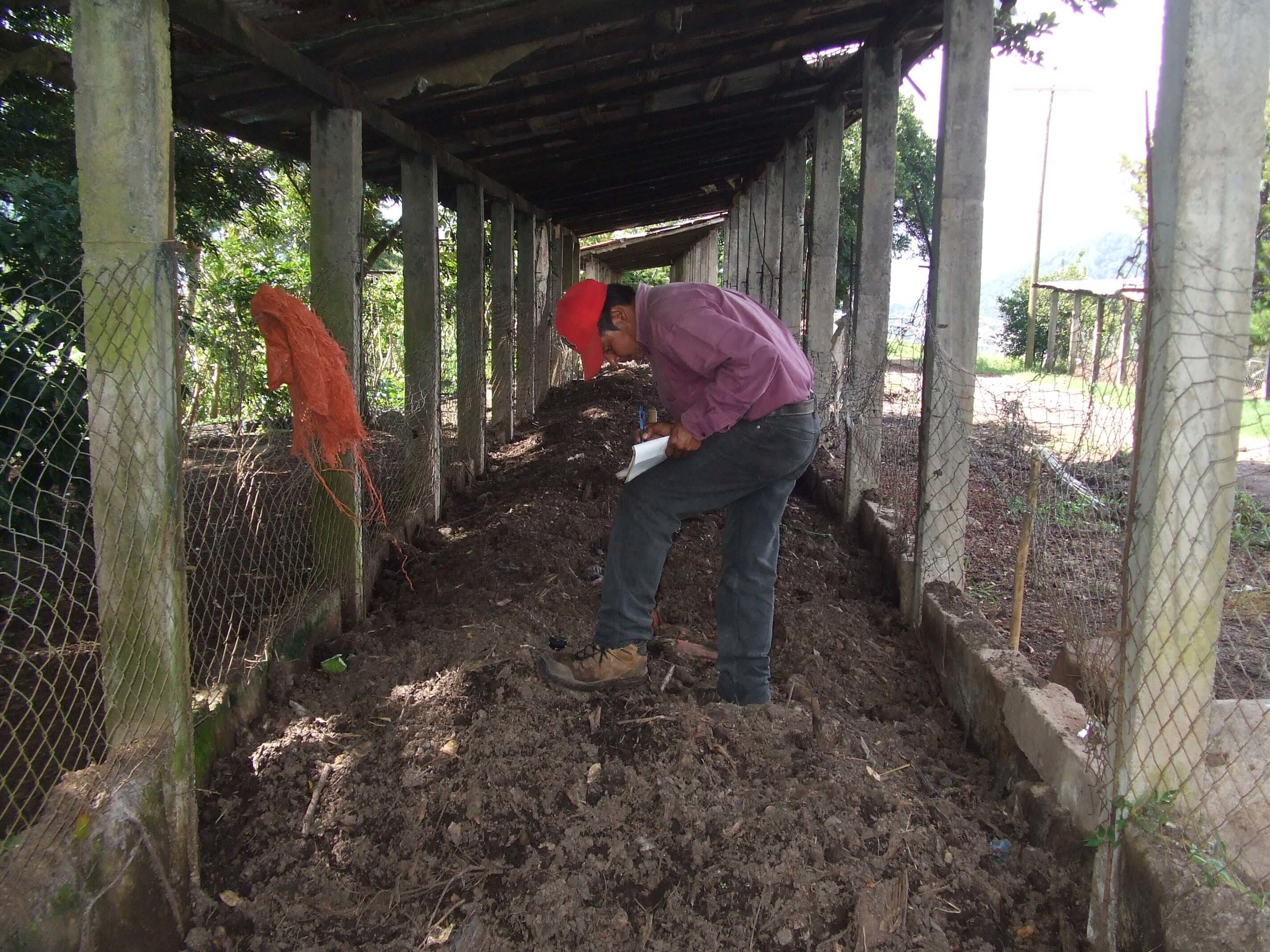 compost-4.jpg