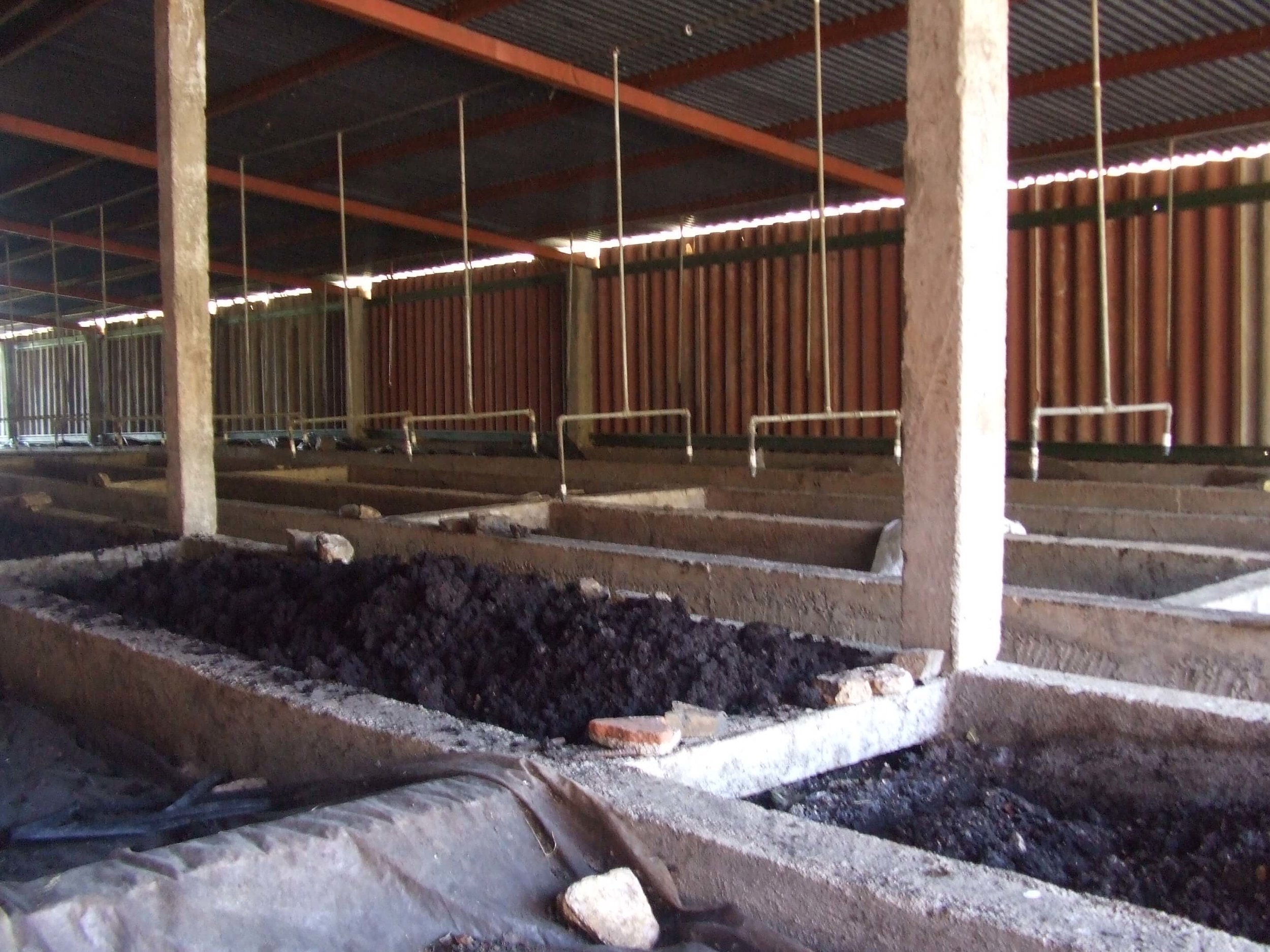 vermicompost-1.jpg