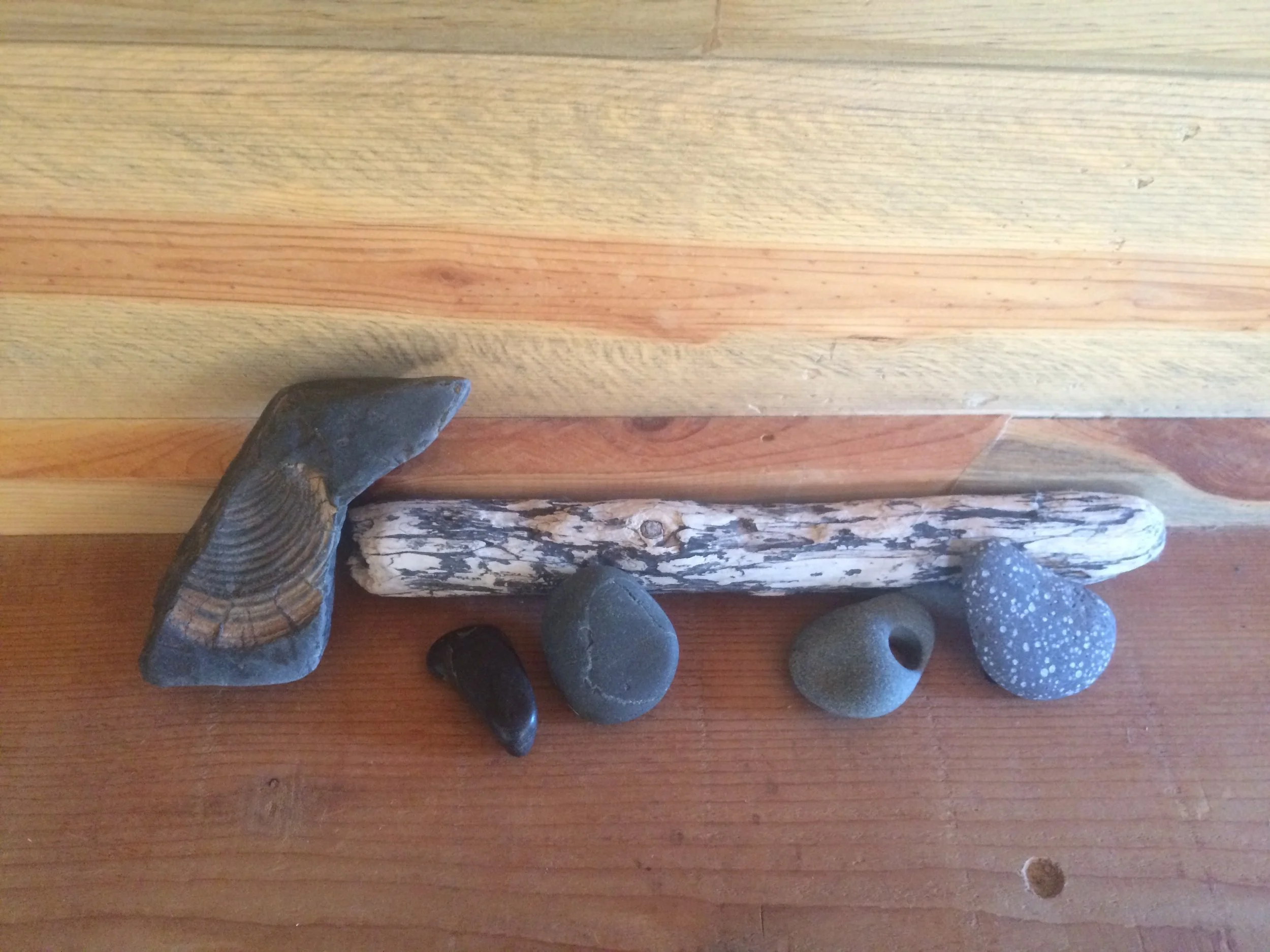 photo by Jenny Epstein Kessem