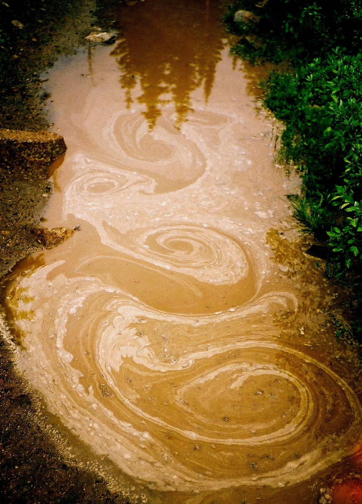 Photo by Jenny Epstein Kessem