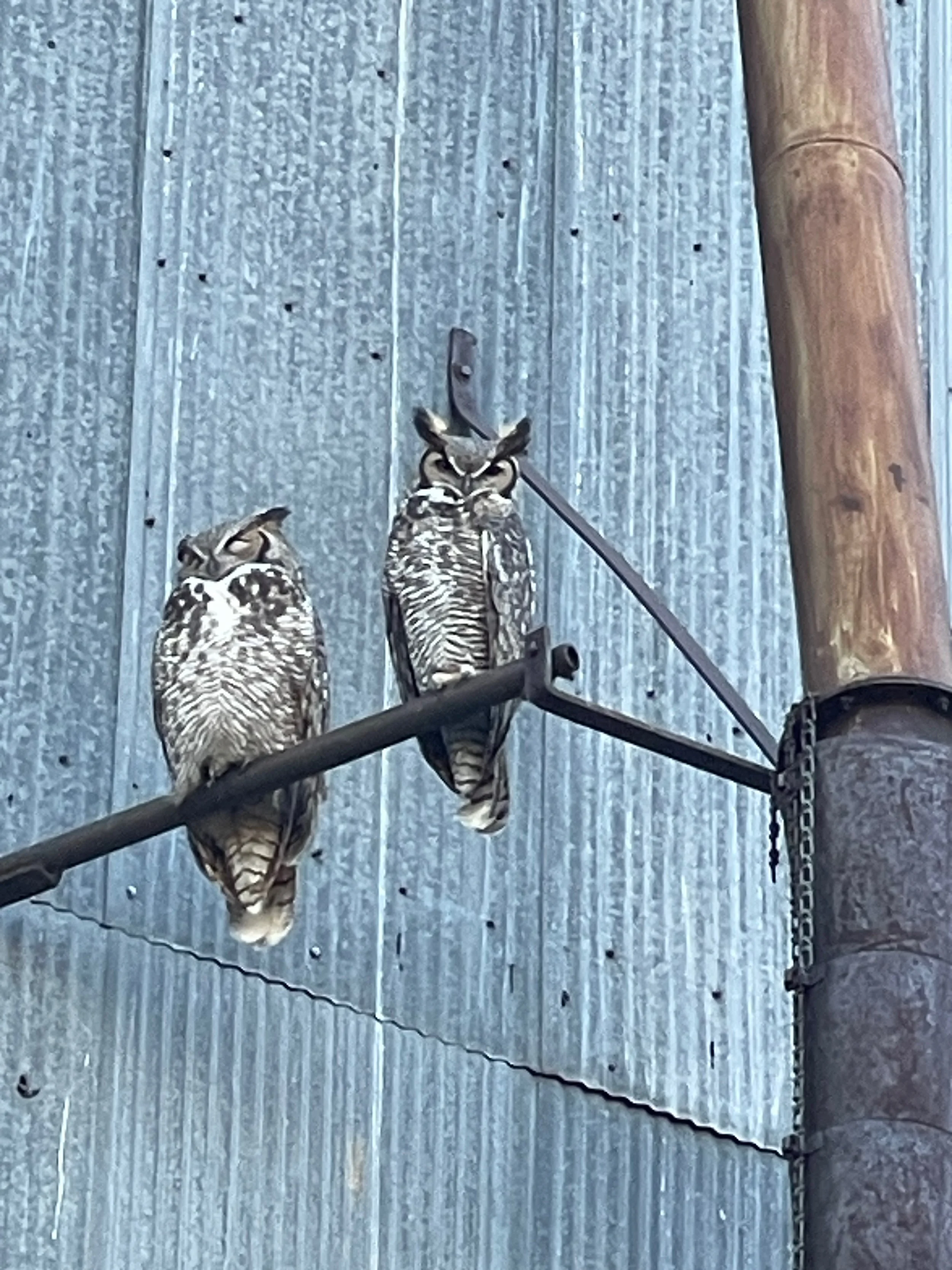 photo by Jenny Epstein Kessem