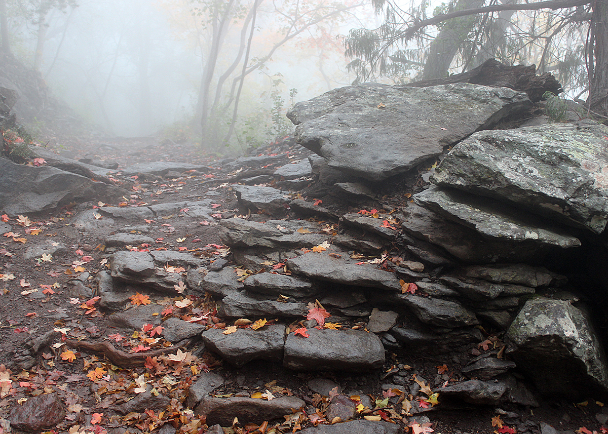 OITP Big Bend Trail web.jpg