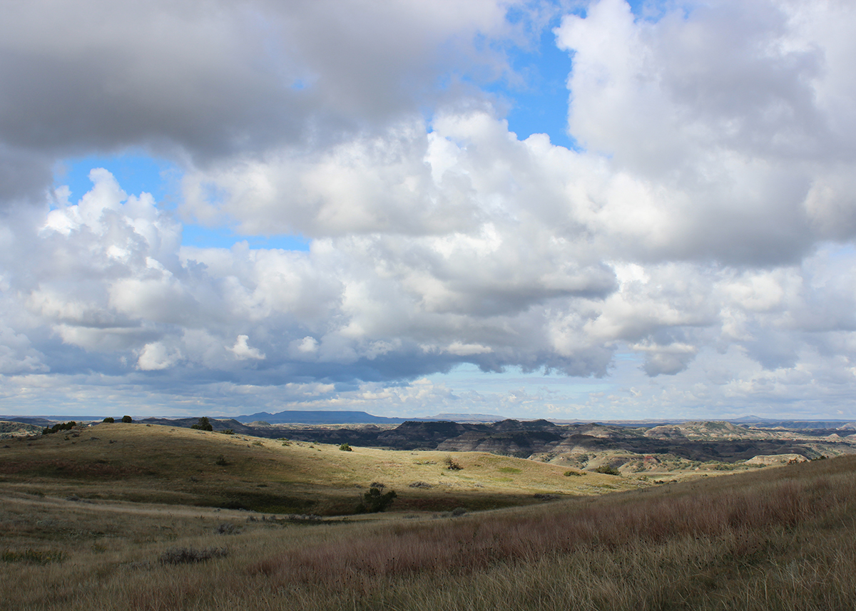 OITP Theodore Roosevelt Prairie web.jpg