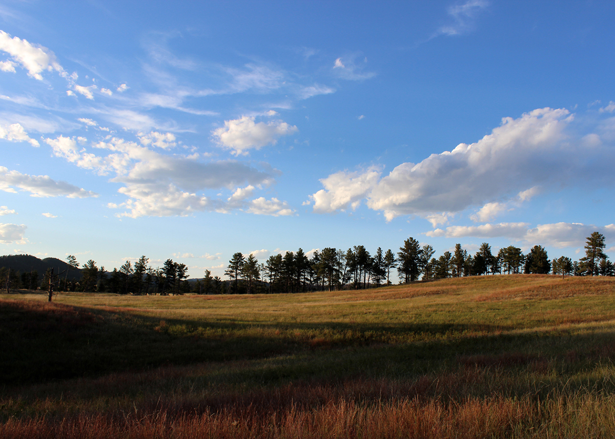 OITP Wind Cave Prairie web.jpg