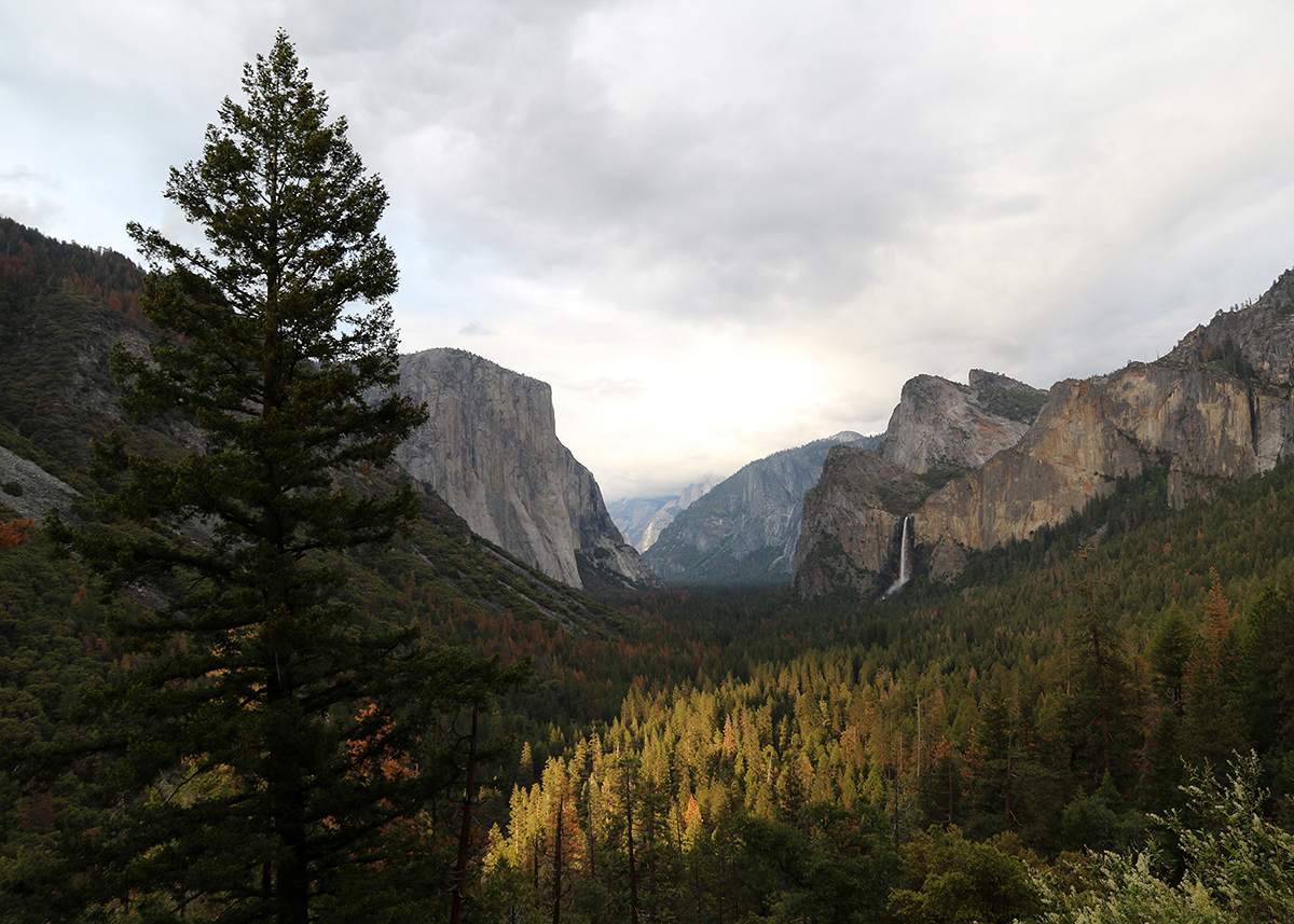 OITP Yosemite Valley web.jpg
