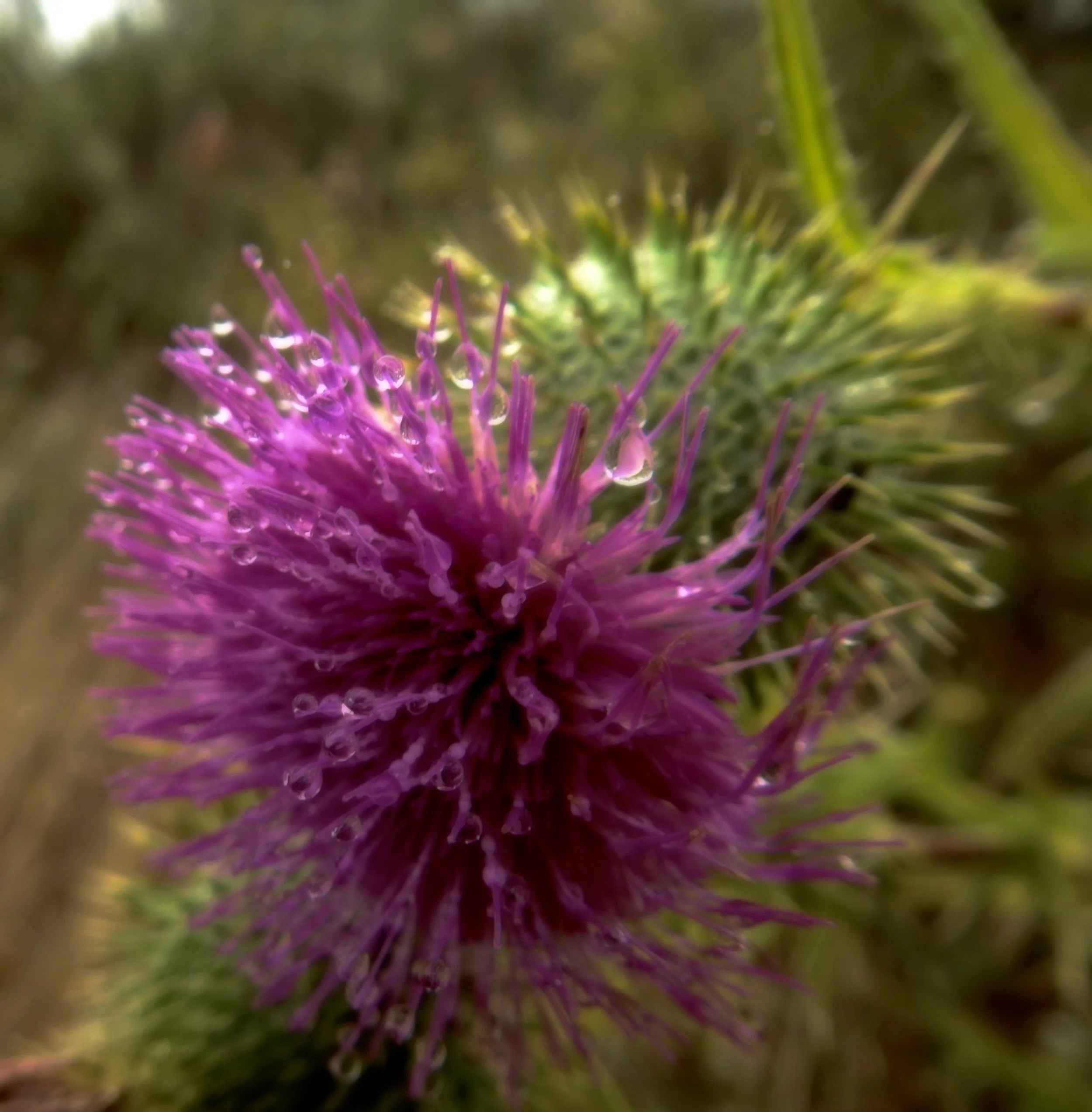 DSCN2831.jpg