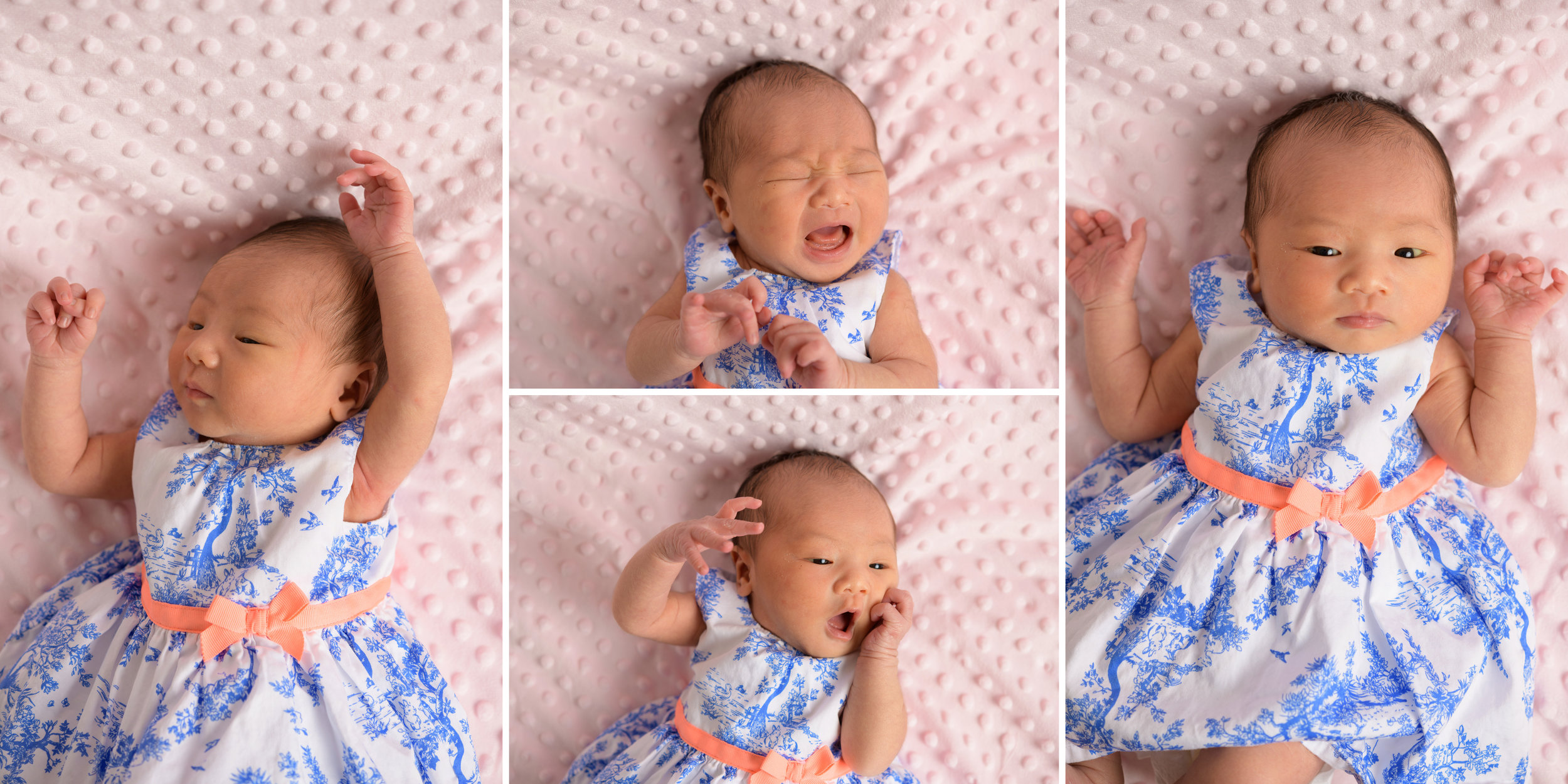 Capitola Newborn Family Photography - photos by Bay Area portrai
