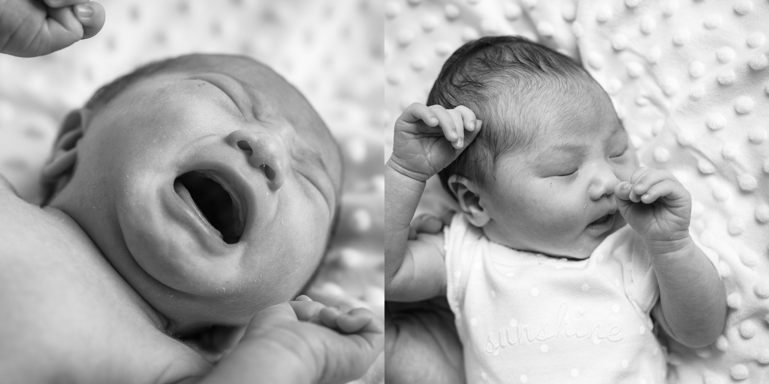 Capitola Newborn Family Photography - photos by Bay Area portrai