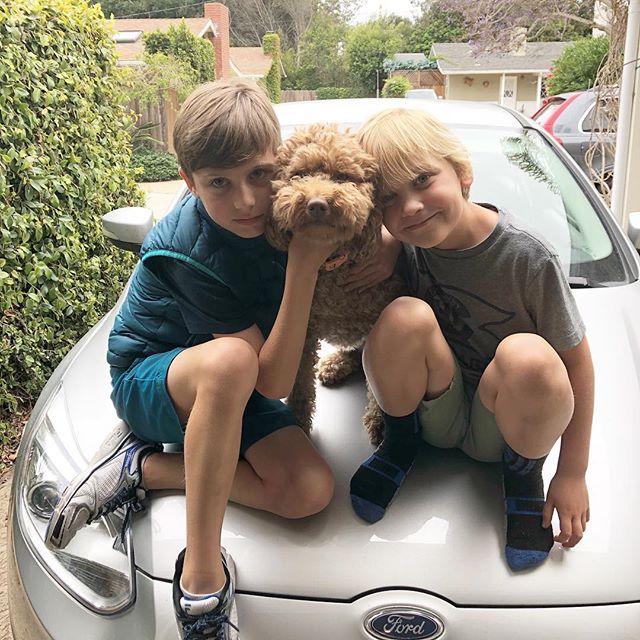 This afternoon was sibling fighting and gnashing of teeth but then cuteness like this happens. My afternoon in emojis 😡😬🤨😍😂. .
.
.
#brothers #siblinglove #frienemies #doodledog #cuteness #parenting #boymom #momofboys