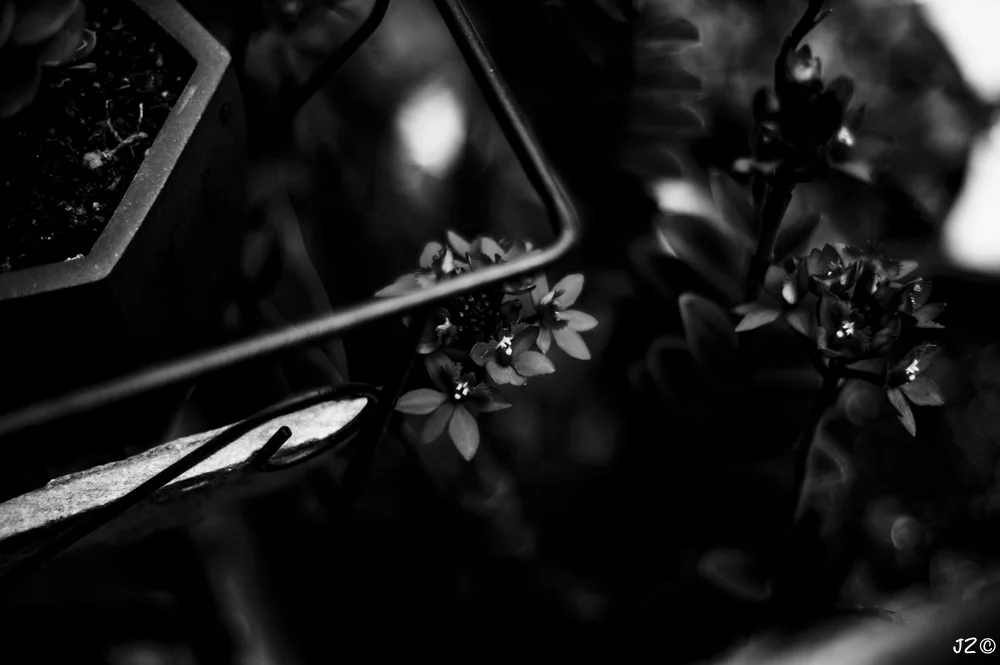 Hiding