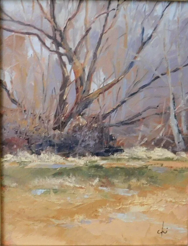 Eagle Island Trees 12x16.JPG