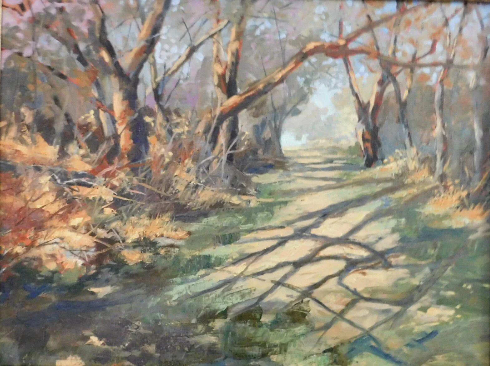 Eagle Island Trail 18x24.JPG