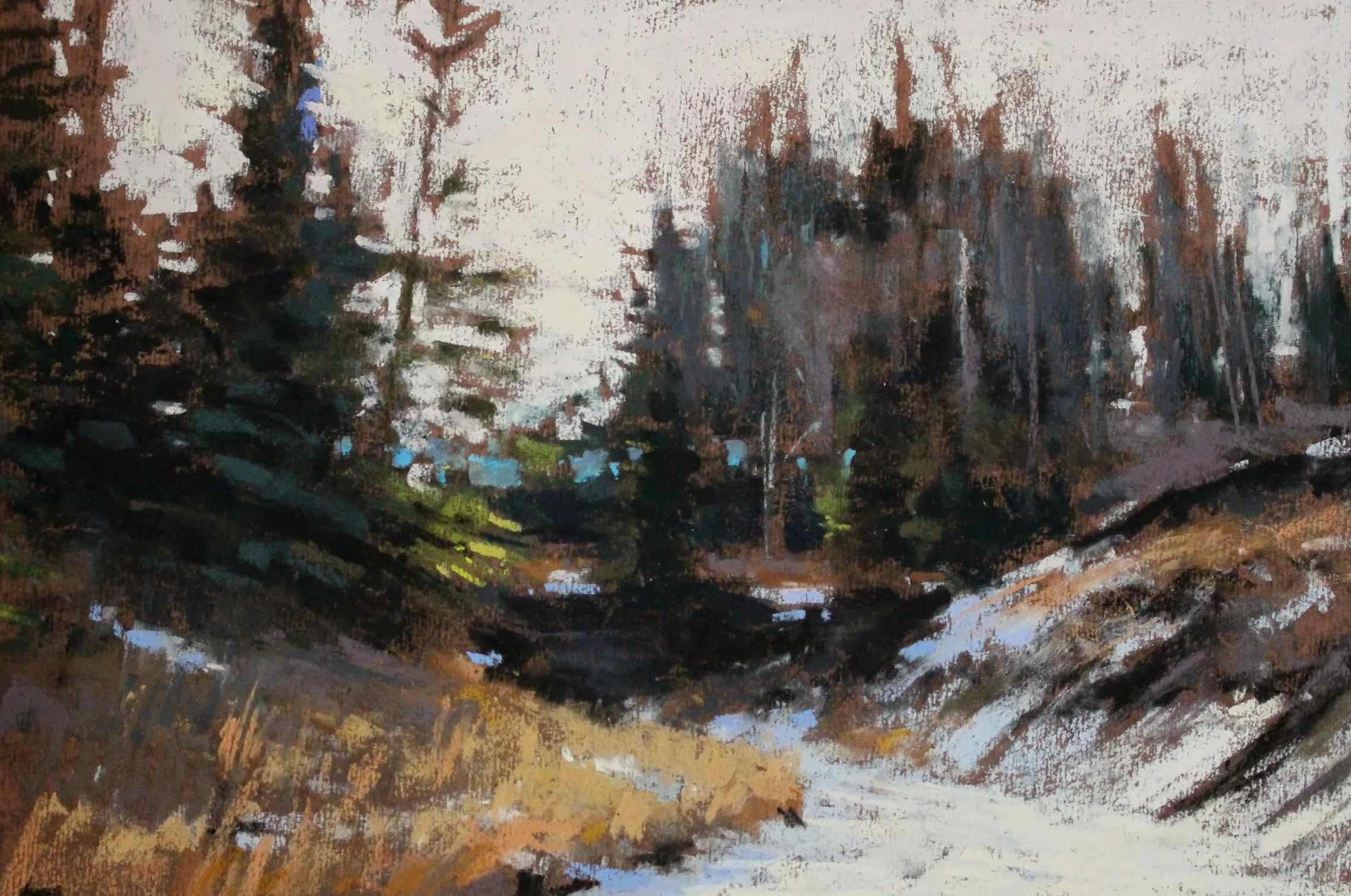 David Shkolny