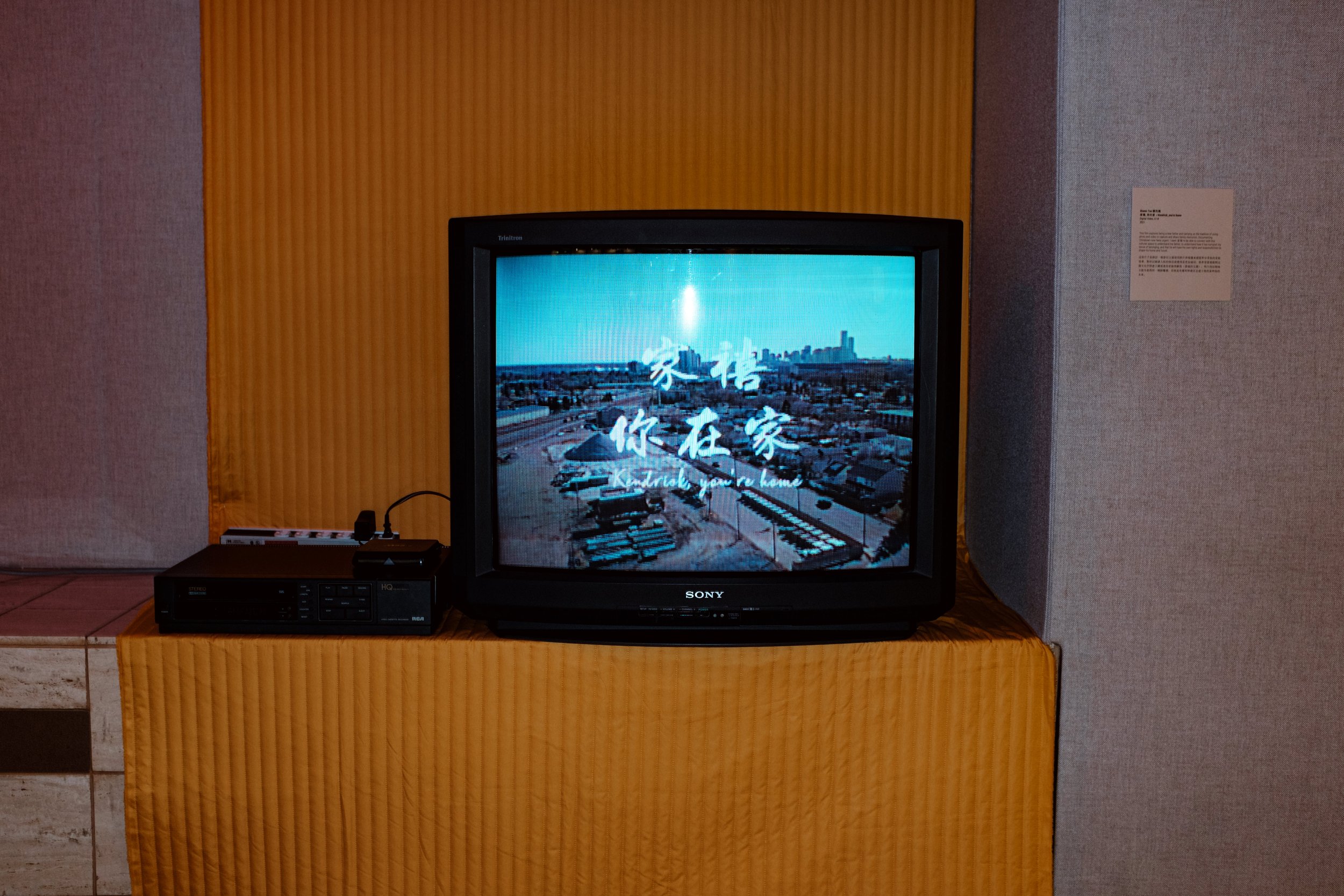 What We Carry 唐人街_McMullen Gallery_Documentation_Jordon Hon-16.jpg