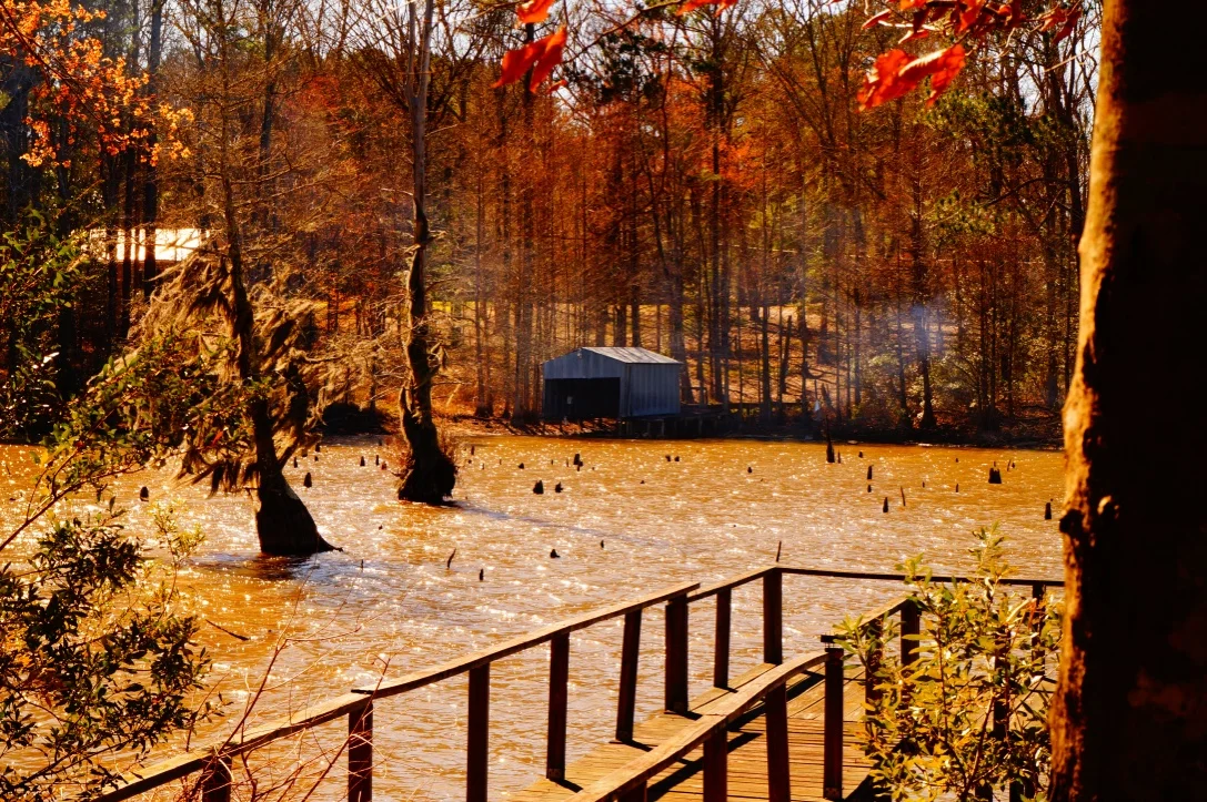 thumb_DSC01428_1024.jpg