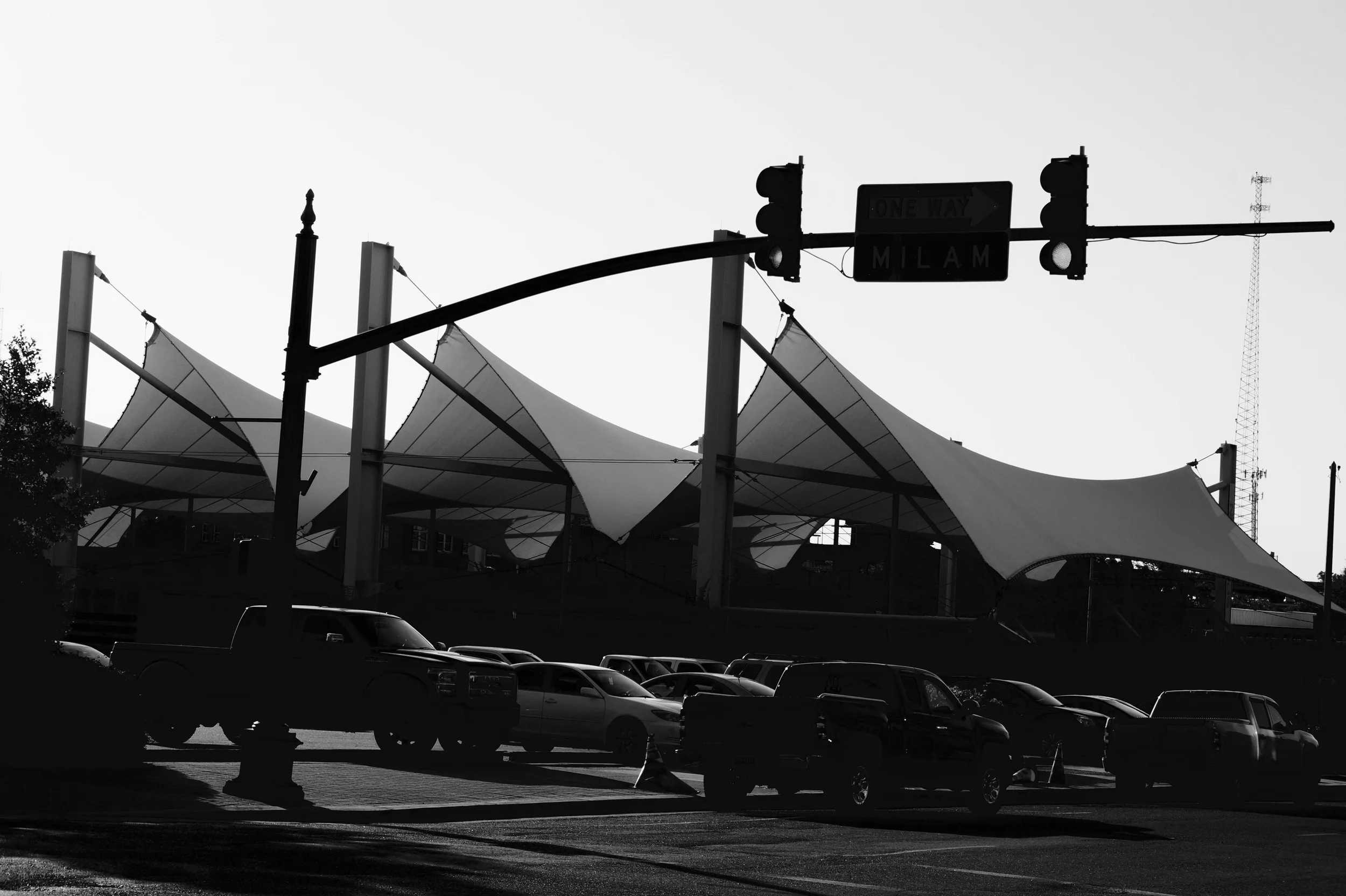 DSC03467 (1).jpg