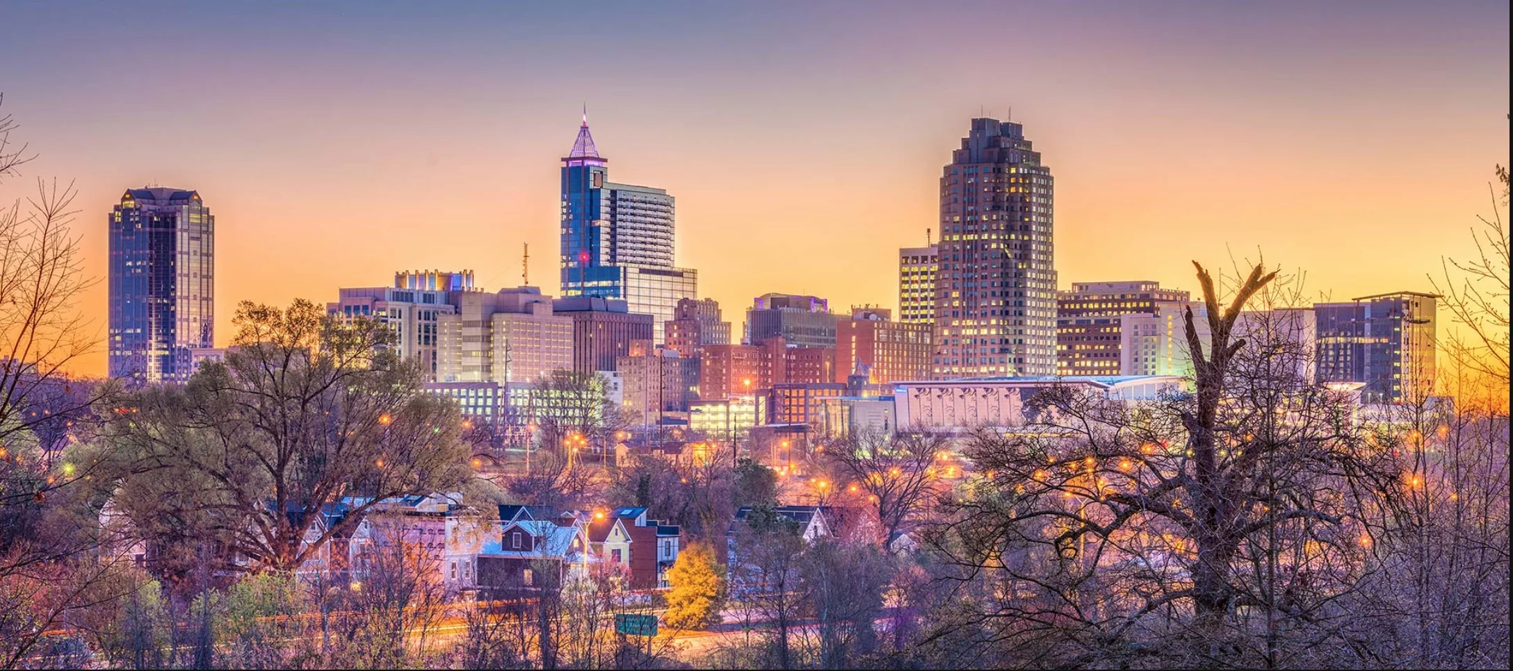 RALEIGH BANNER.jpeg