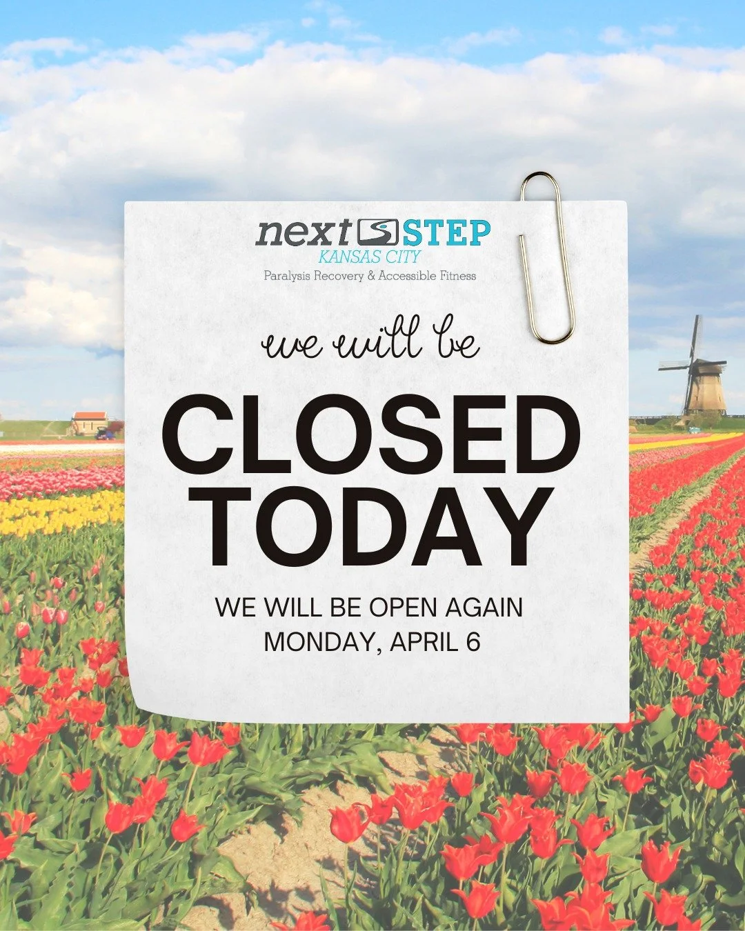 We will be closed today in observance of Good Friday and will reopen on Monday, April 6th. 🌷

We hope everyone has a wonderful day! 🪻