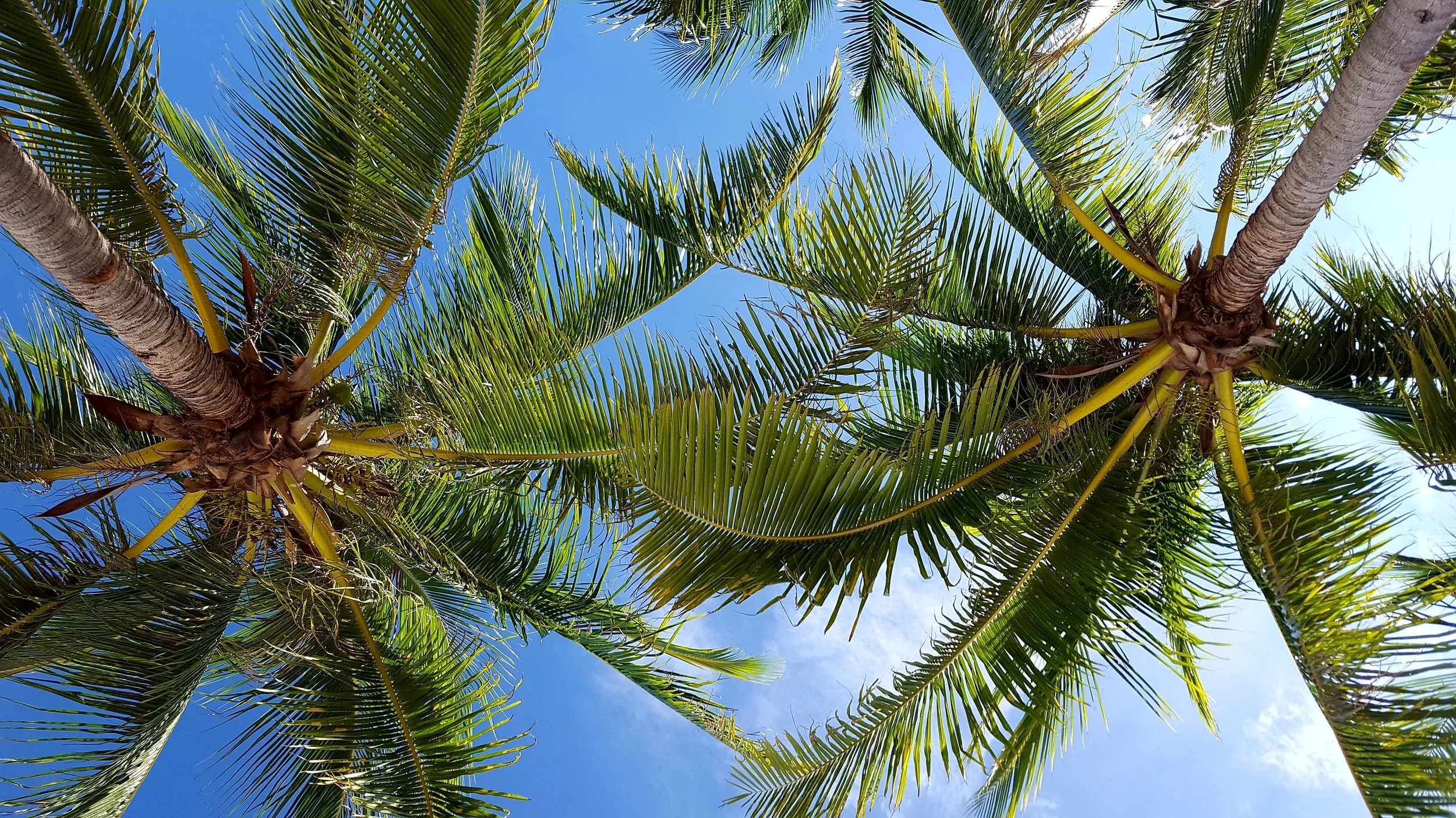 Panglao Island made for a relaxing place to stop before the Chocolate Hills
