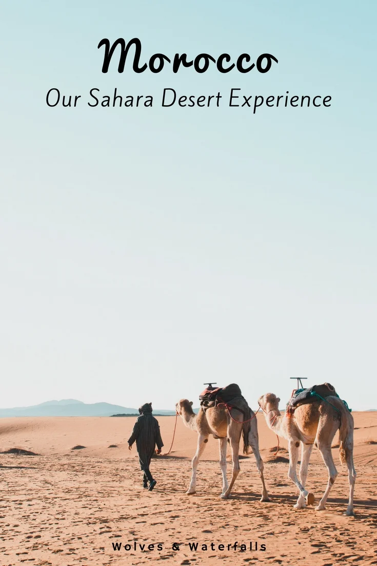 Riding camels in the Sahara Desert, Morocco