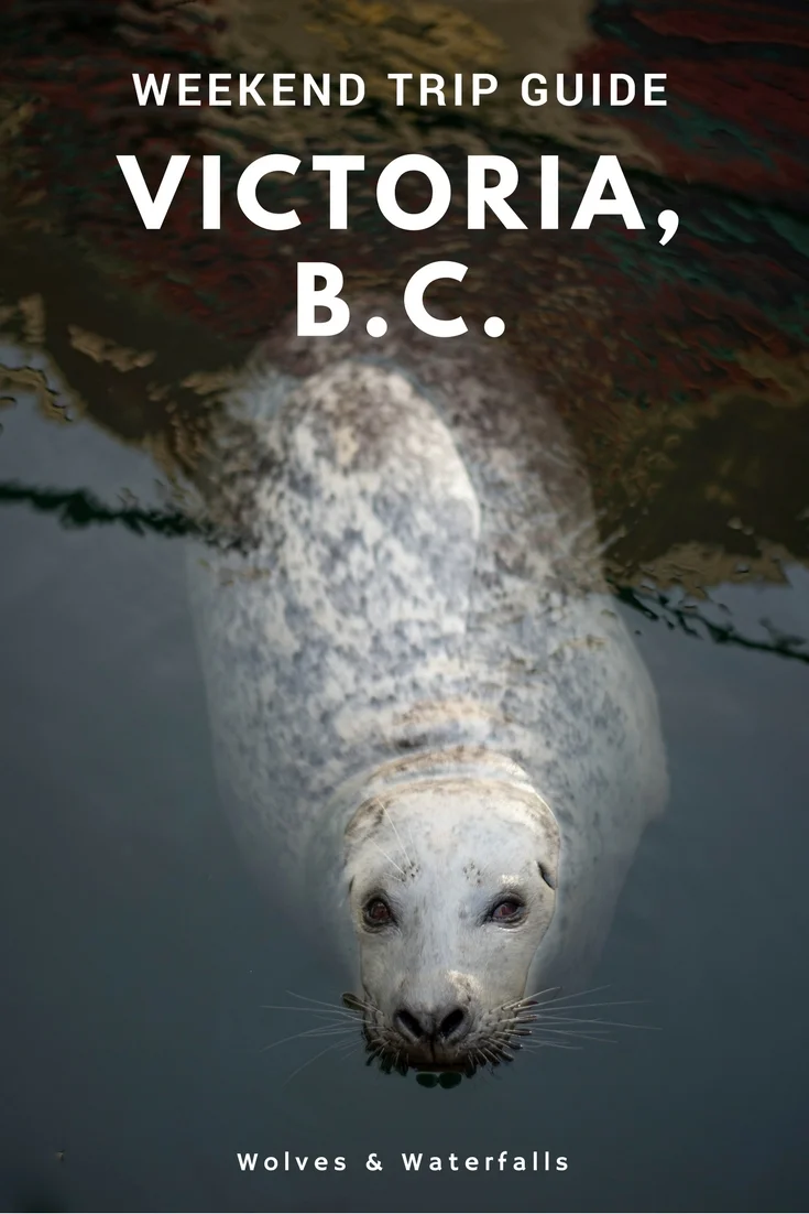 Everything you need to know to plan a weekend trip to Victoria, B.C.
