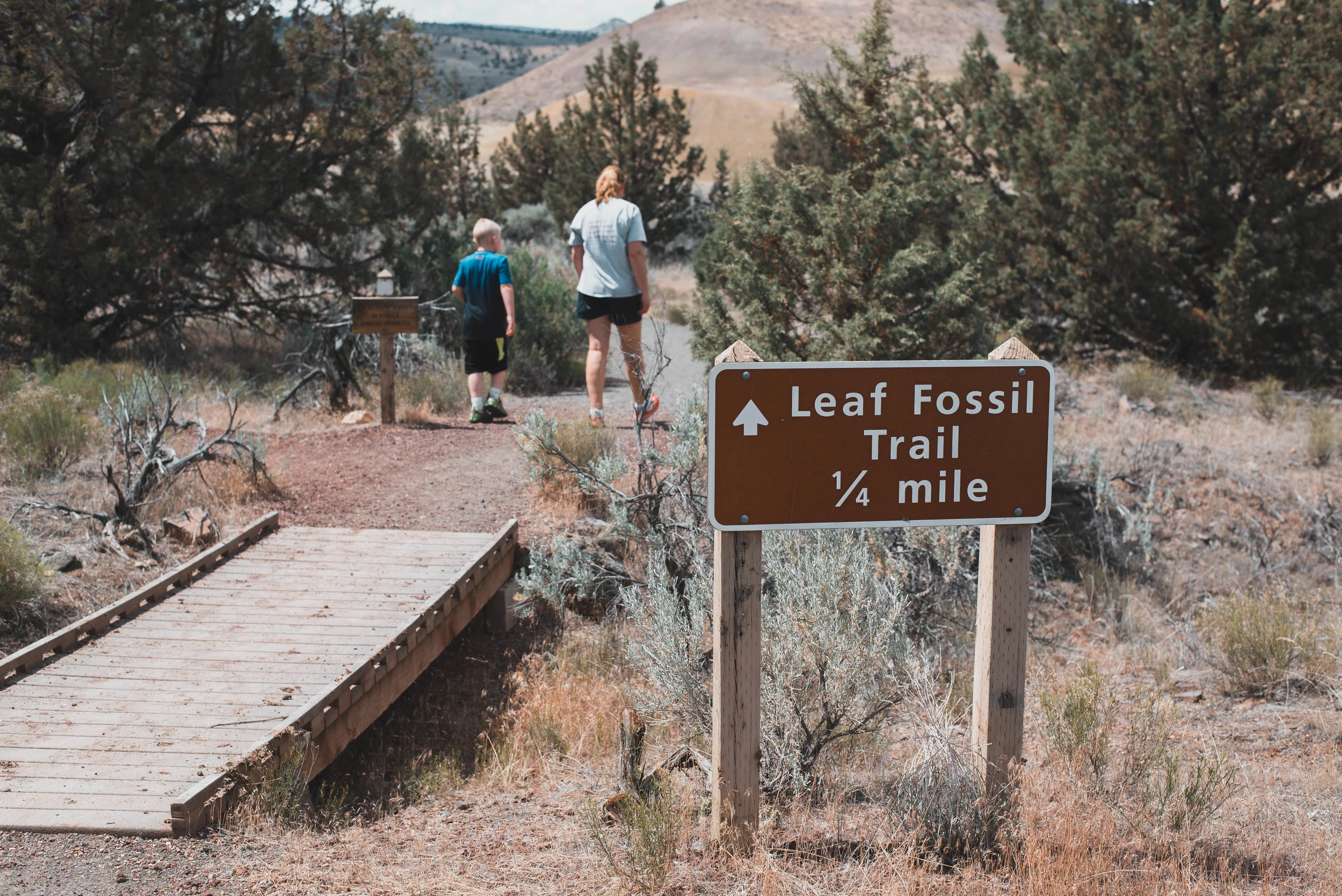 The beginning of the Leaf Fossil Trail at the Painted Hills in Oregon