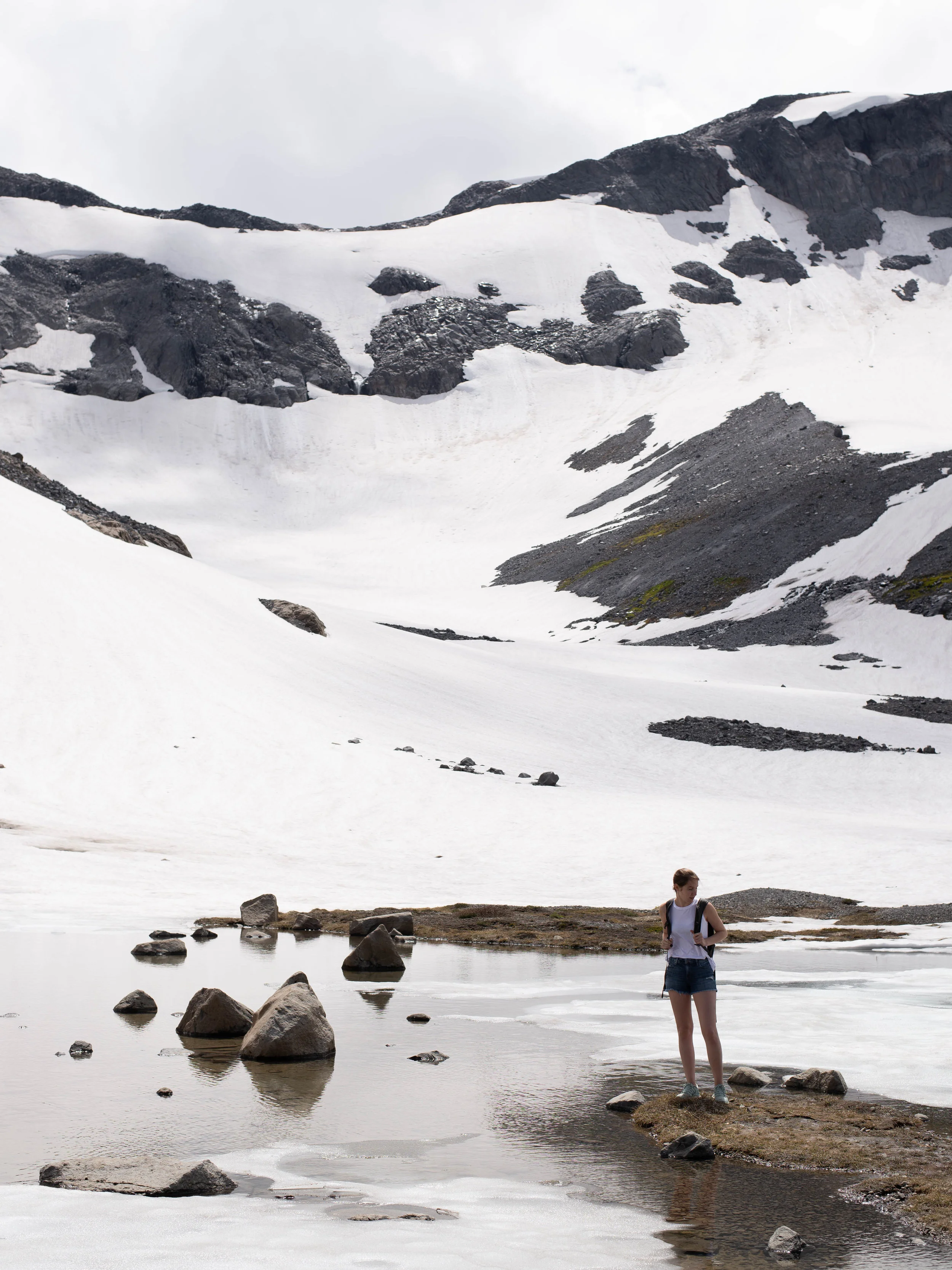 Rocks and snowy slopes on Mt. Rainier's Panhandle Gap trail