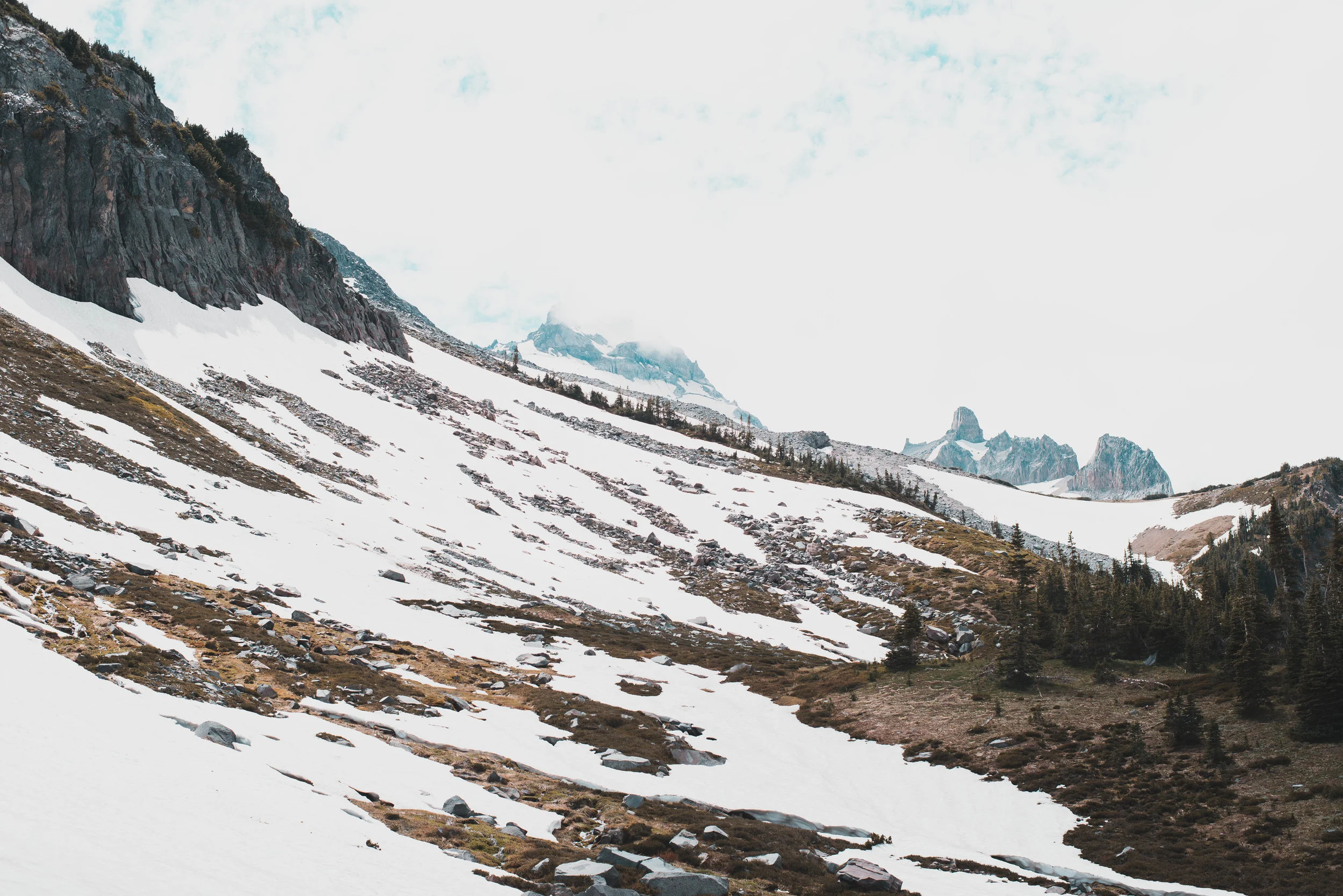 Summerland turns into Panhandle Gap at Mt. Rainier
