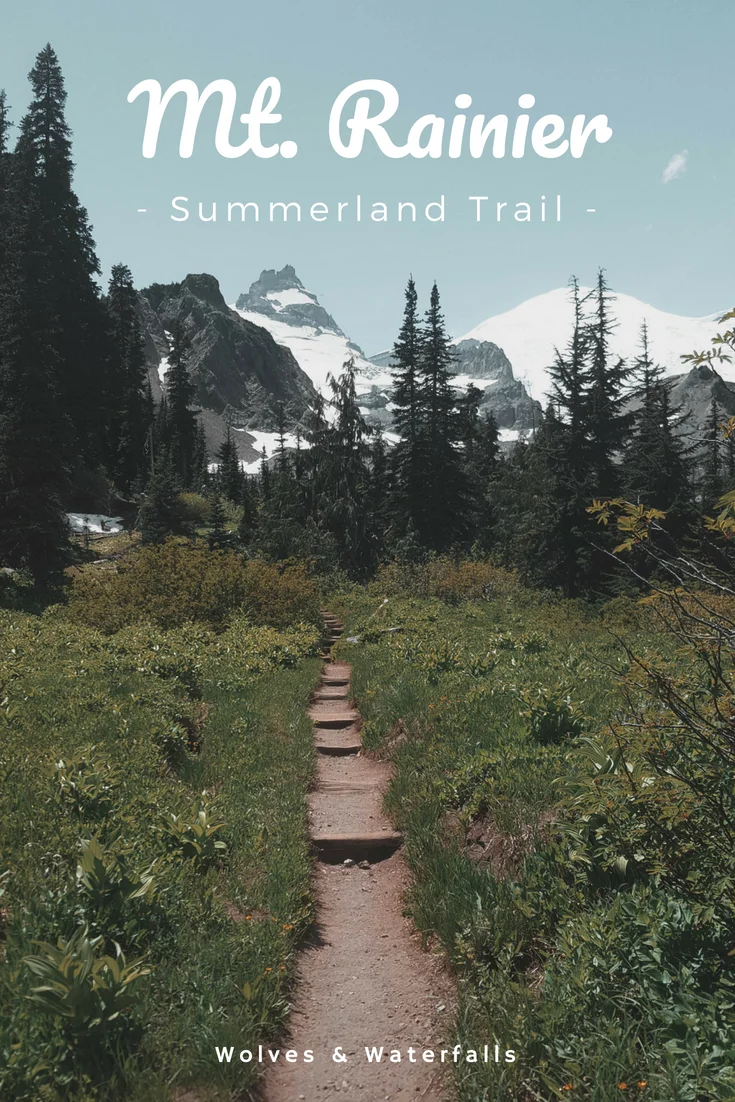 Hiking Summerland - Panhandle Gap at Mt. Rainier