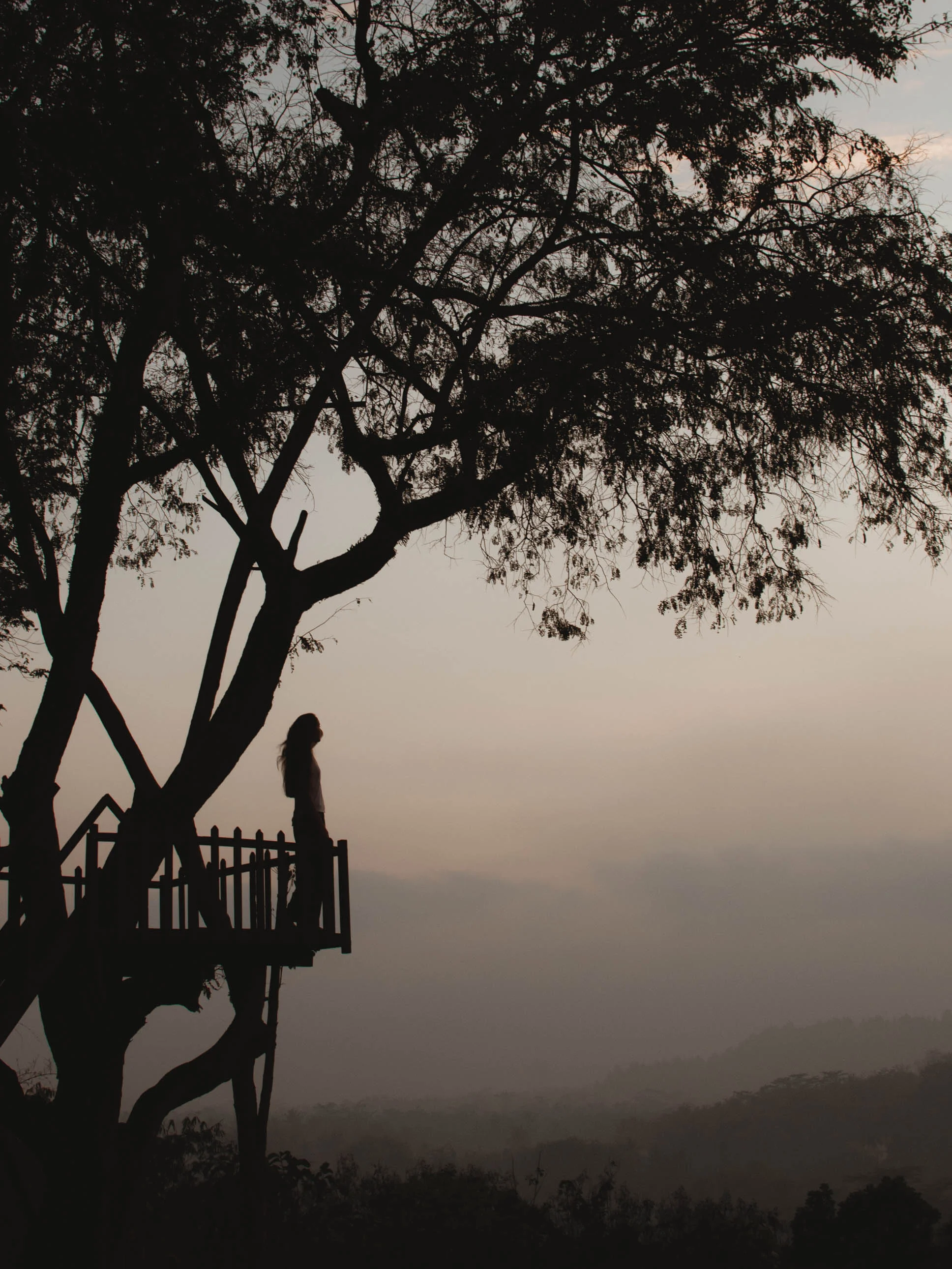 Watched the sunrise from a hill near Borobudur temple