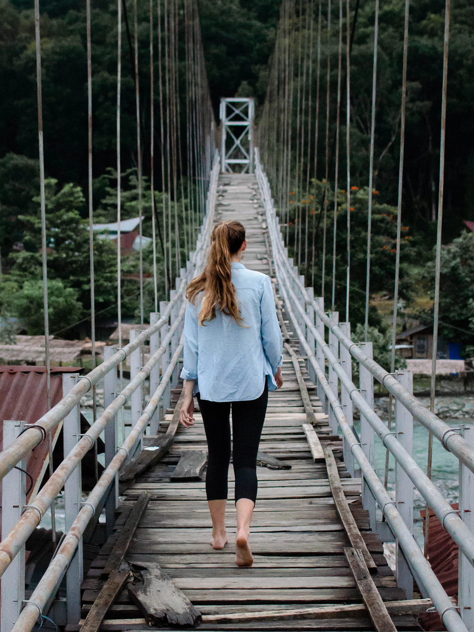 Orangutan Trekking in the Jungles of Sumatra