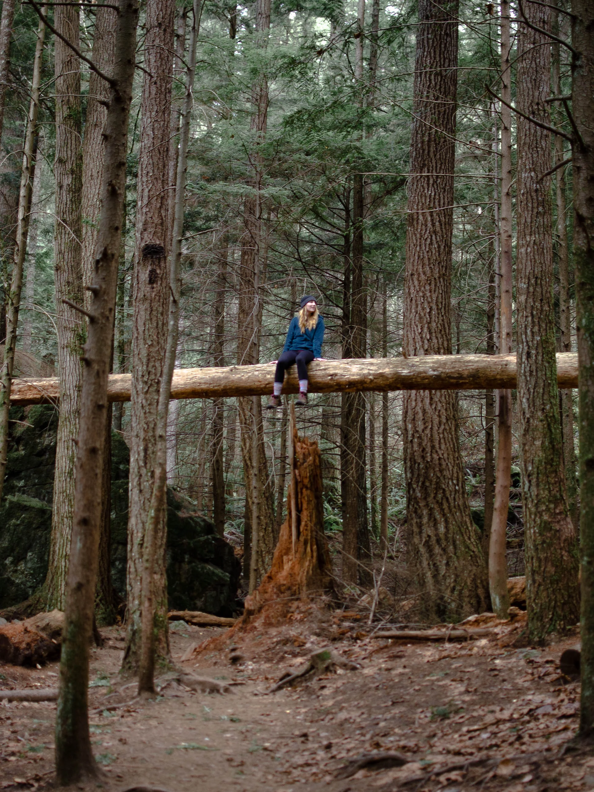 Little Si: An Easy Winter Hike Near Seattle