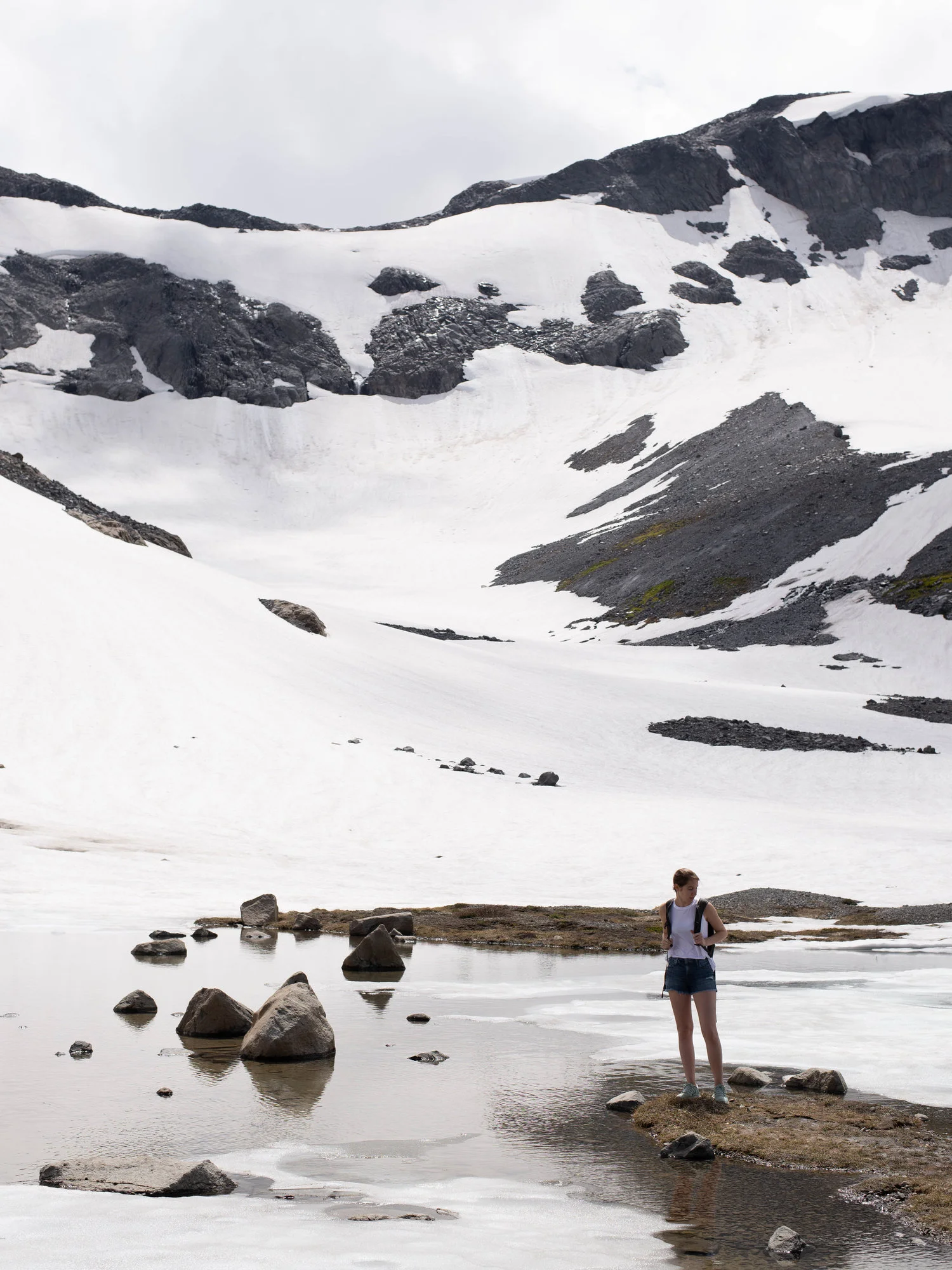 In July, 2018 I went hiking at Mt. Rainier