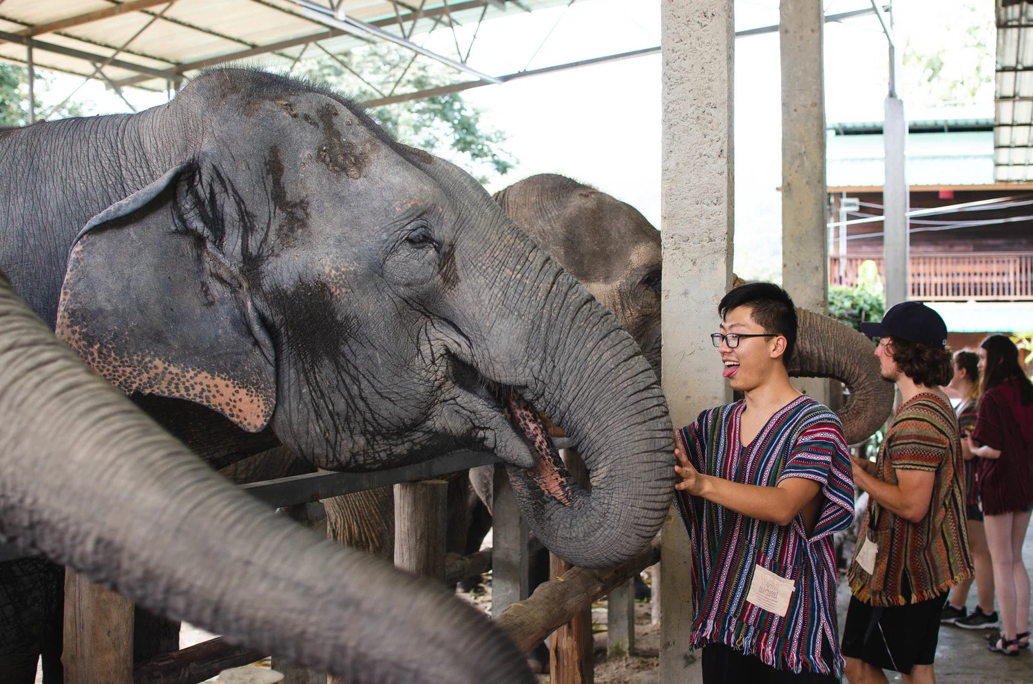 We loved getting to feed and pet elephants in Thailand