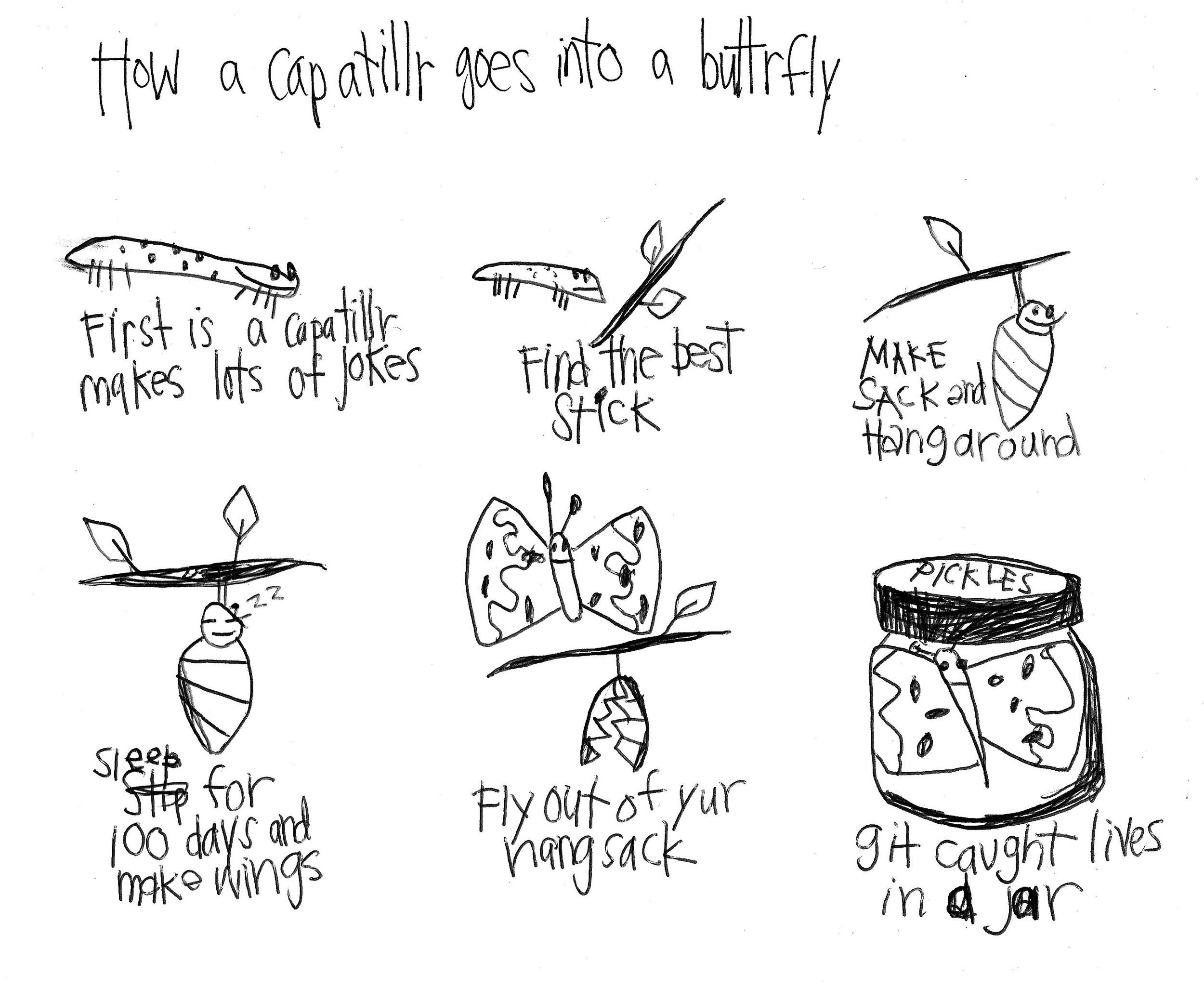 catiplr to buterfly.jpg