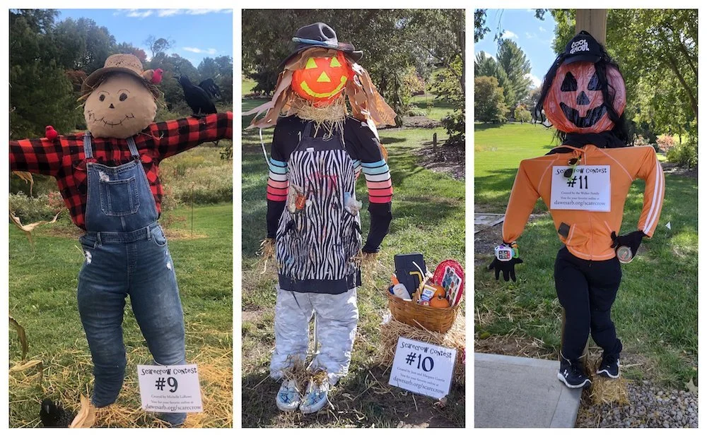 Scarecrow Contest Ideas